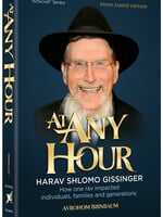 Avrohom Birnbaum At Any Hour - Harav Shlomo Gissinger
