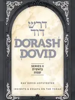Rabbi Dovid Hofstedter Dorash Dovid on the Torah: 2 Volume Set (English) - SERIES II