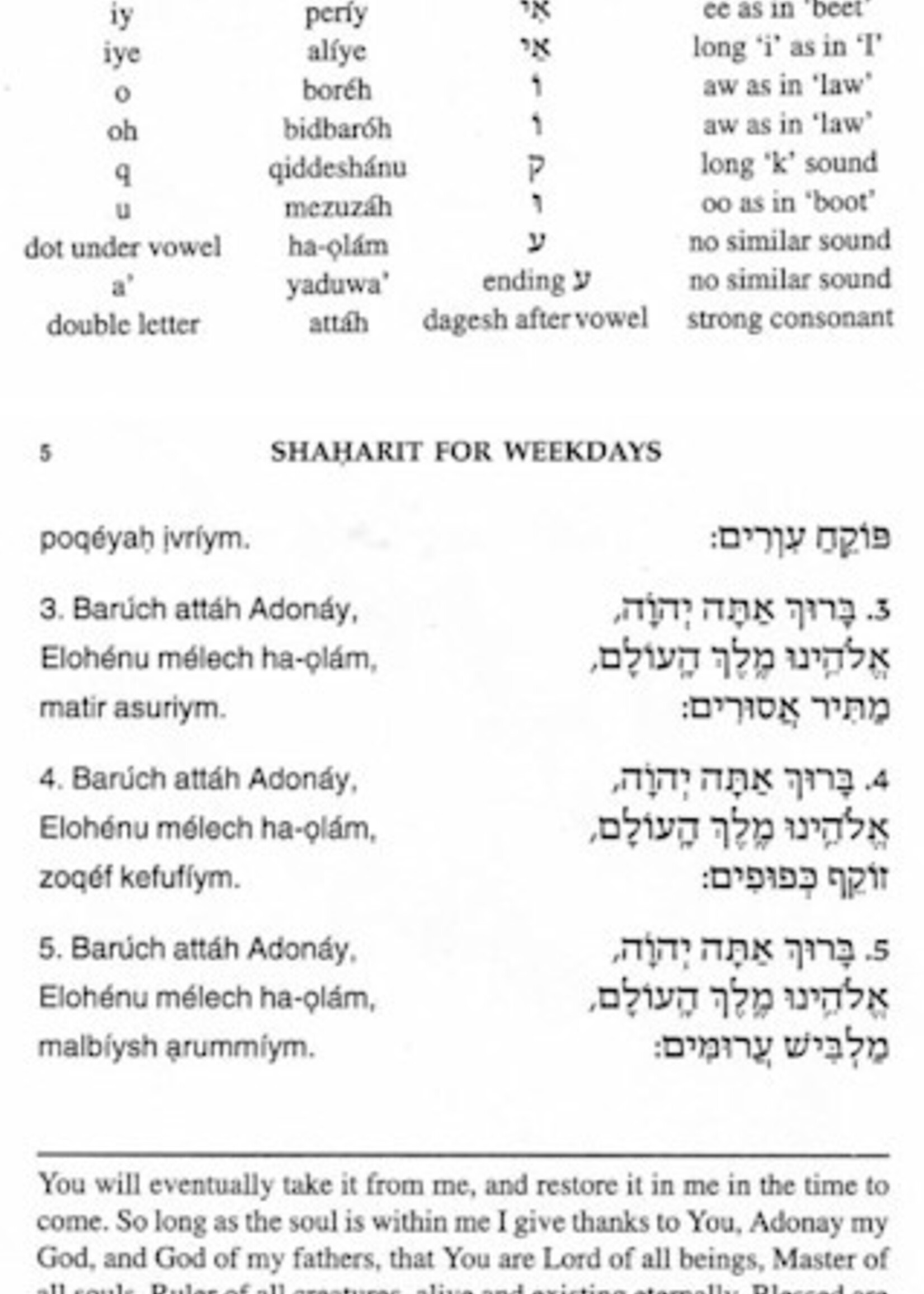 Rabbi Abraham Churba Siddur Lev Eliezer Sephardic Weekday Large Hebrew / English Linear Transliteration (Brown)
