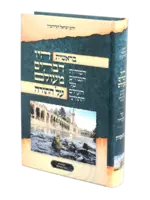 Hayu Devarim Maolam Bereishis / היו דברים מעולם בראשית