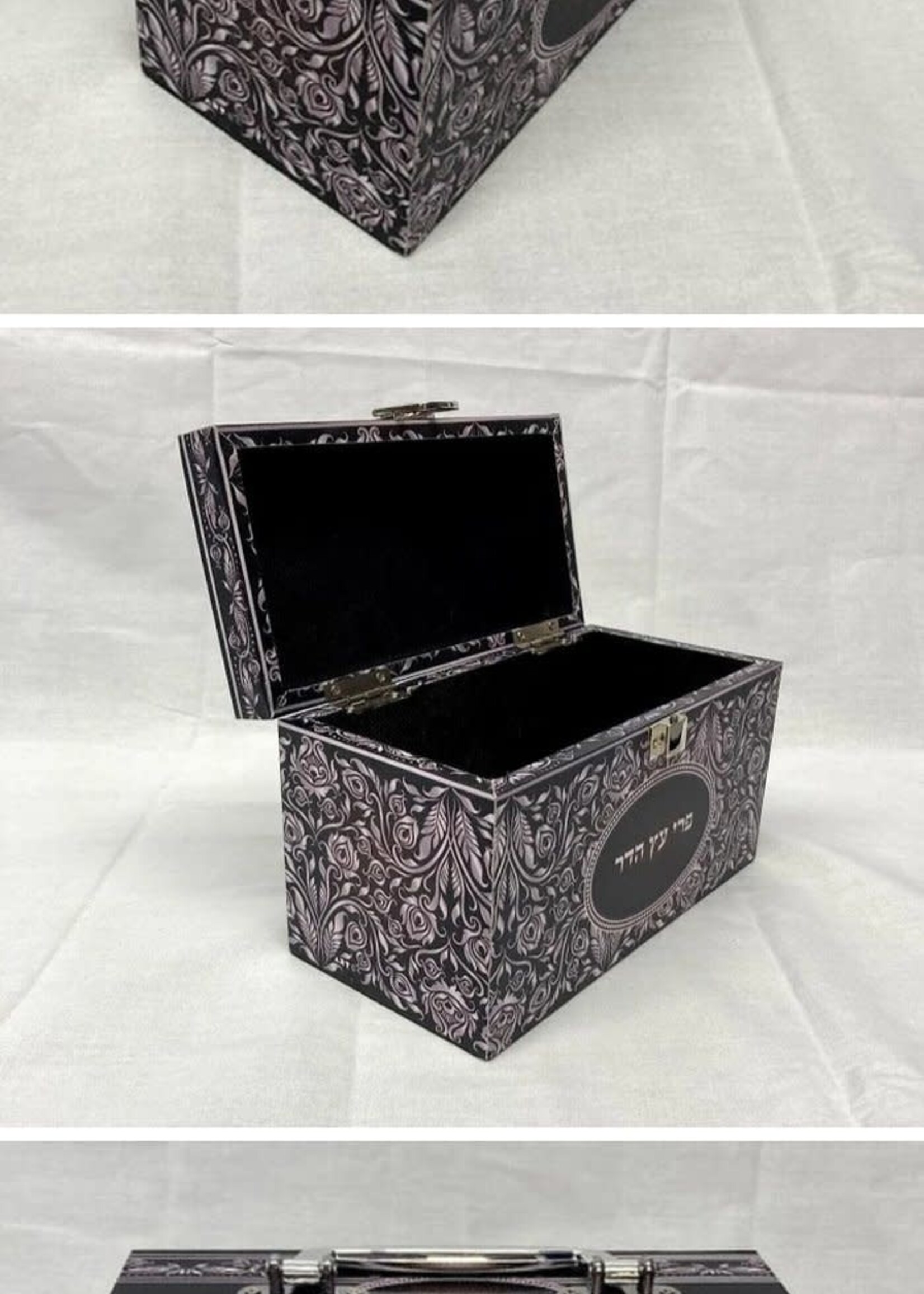 Sky Design Esrog Box Silver Print
