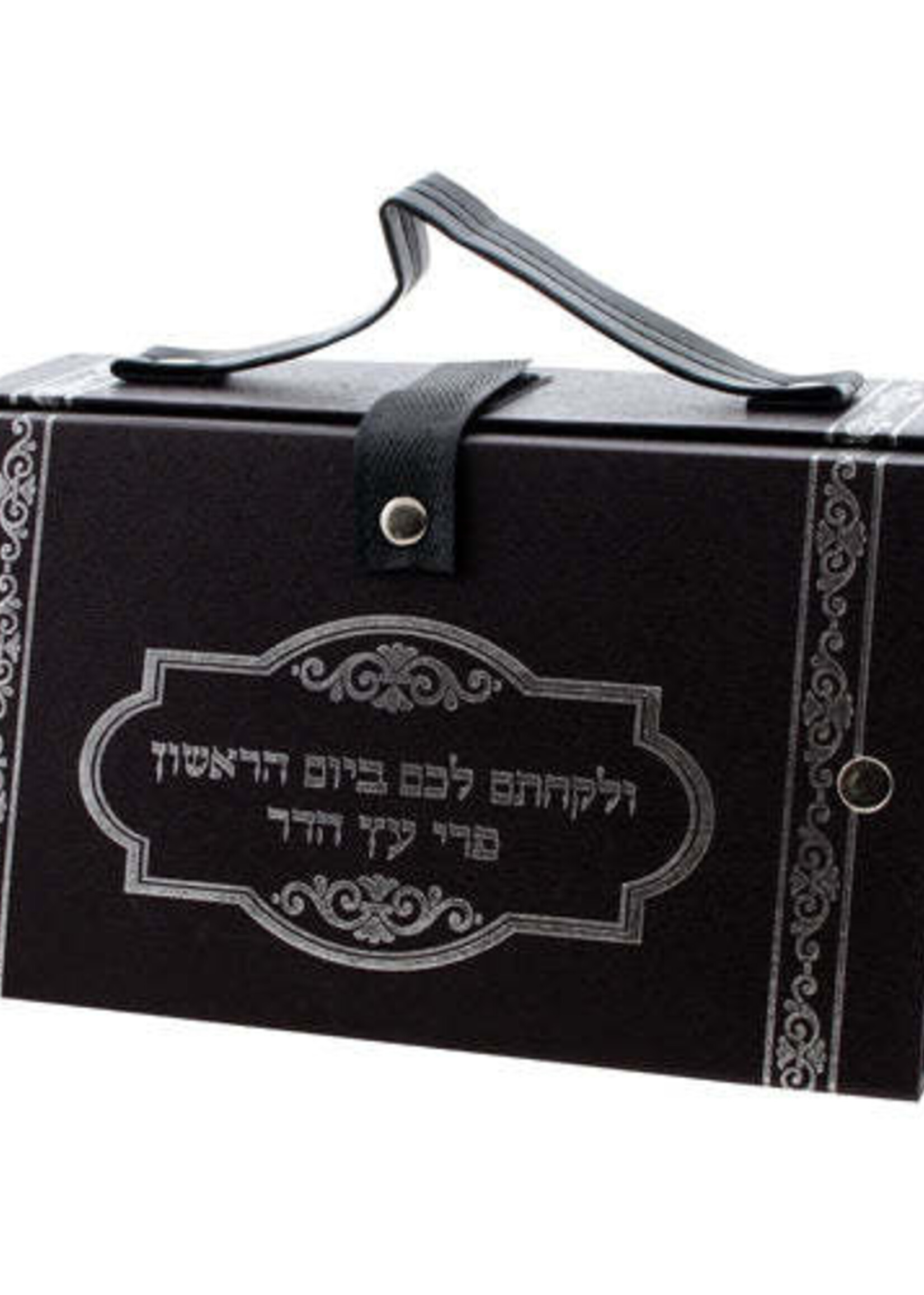 Vinyl Esrog Box with Silver Print