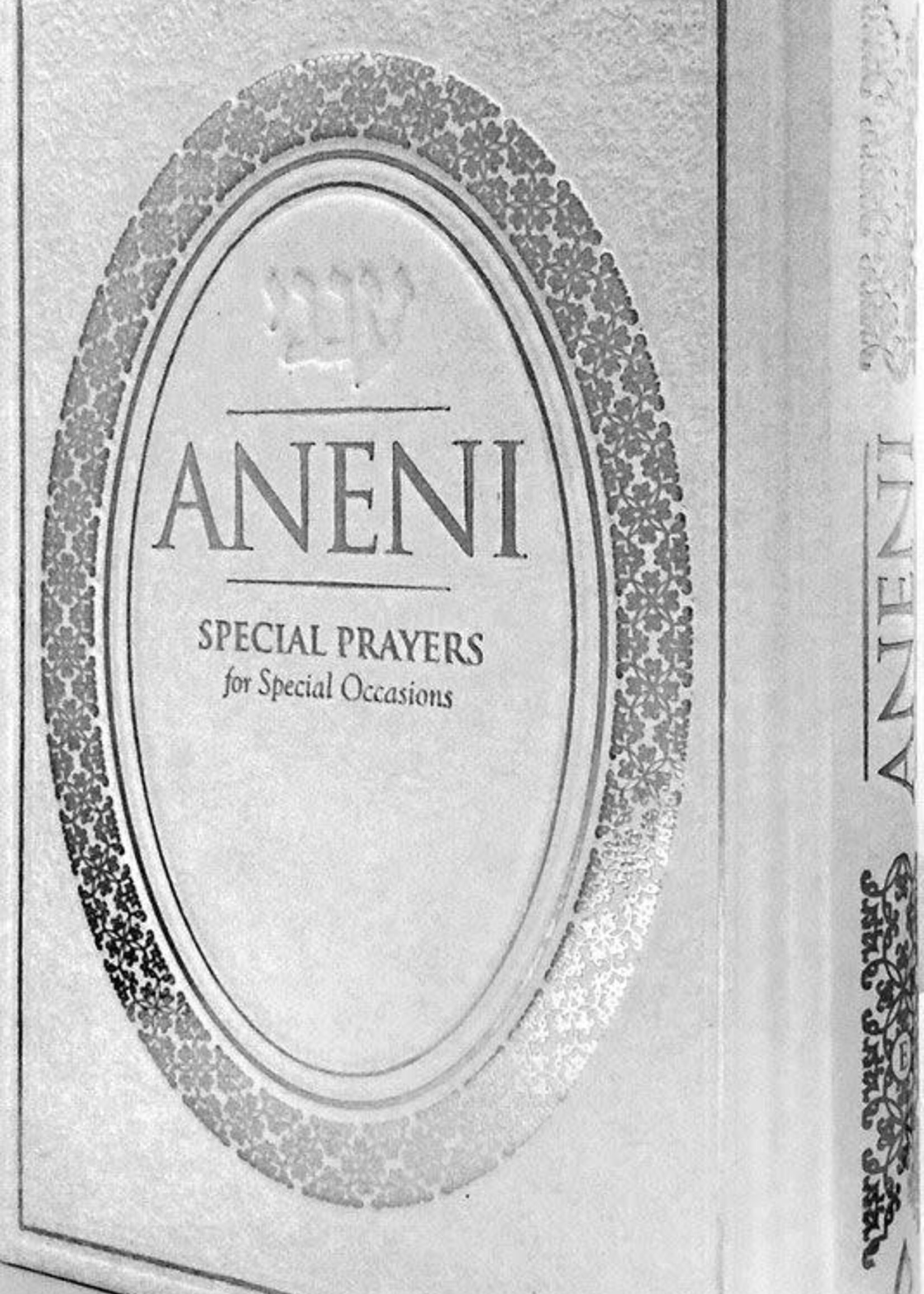 Rabbi Yaakov Yosef Iskowitz Aneni: Classic Edition, White (Hardcover) Special Prayers for Special Occasions