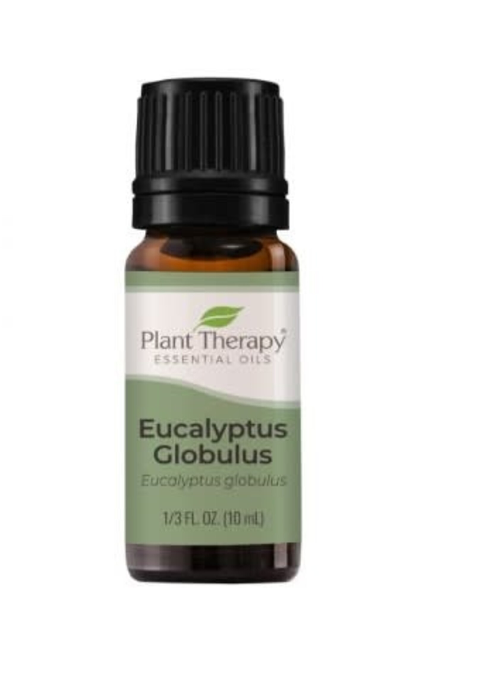 Plant Therapy Eucalyptus Globulus Essential Oil 10 mL