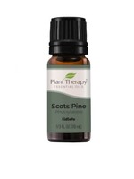 Plant Therapy Scots Pine Essential Oil 10 mL