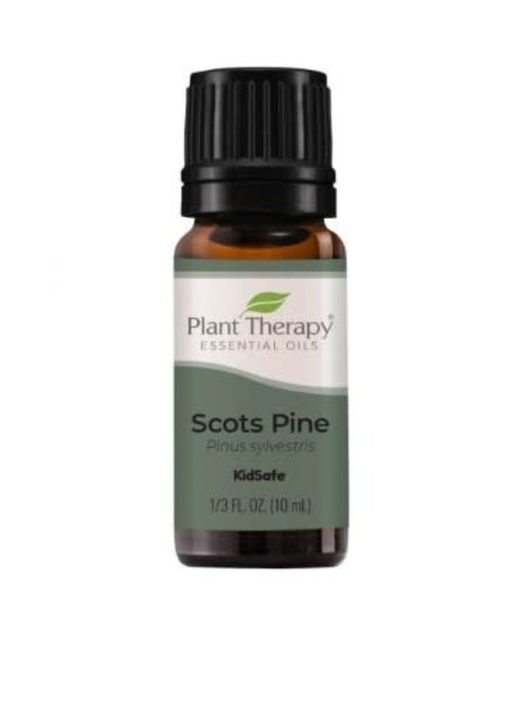 Plant Therapy Scots Pine Essential Oil 10 mL