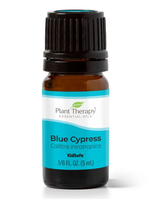 Plant Therapy Blue Cypress Essential Oil 5mL