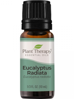 Plant Therapy Eucalyptus Radiata EO 10mL