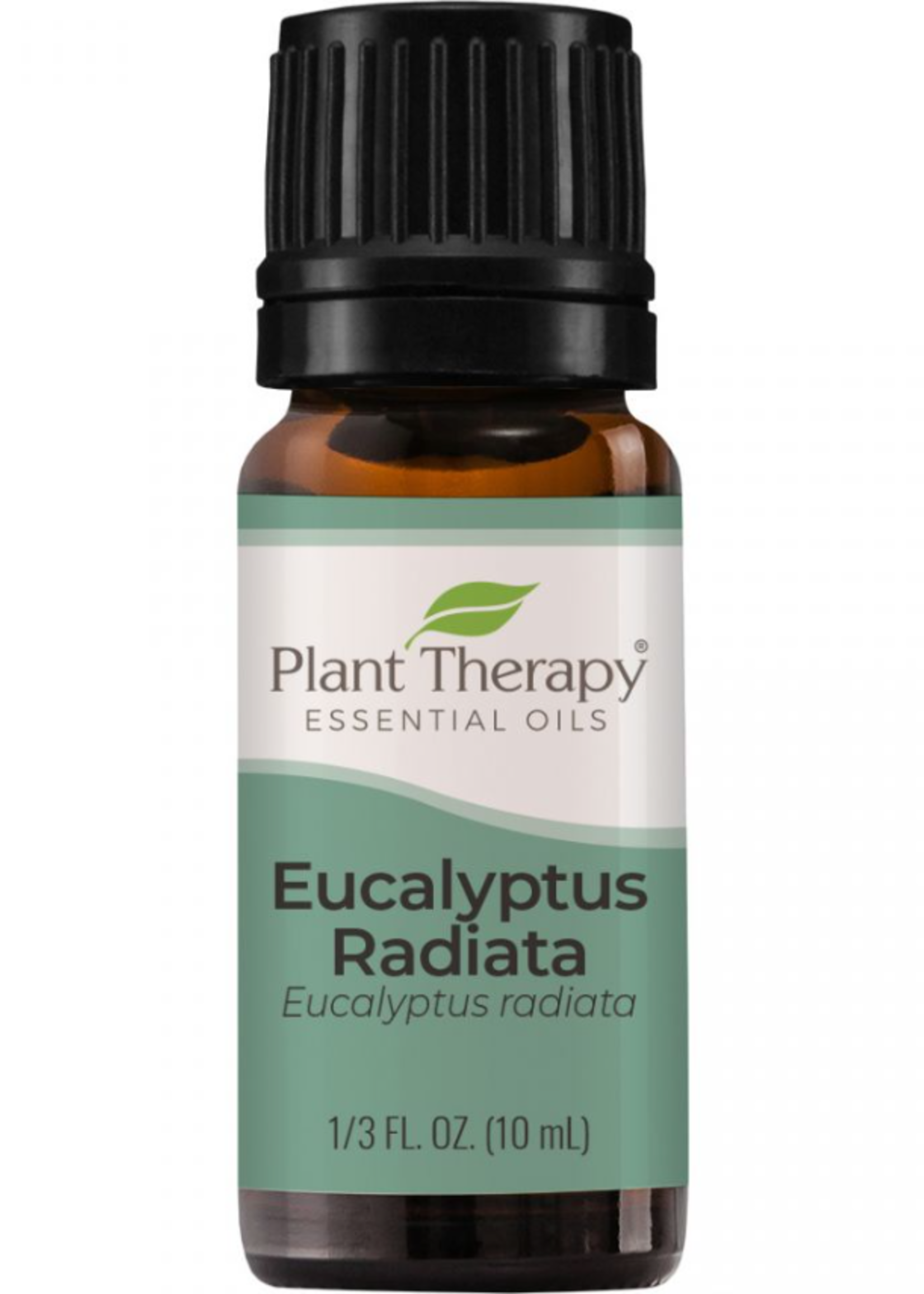 Plant Therapy Eucalyptus Radiata EO 10mL