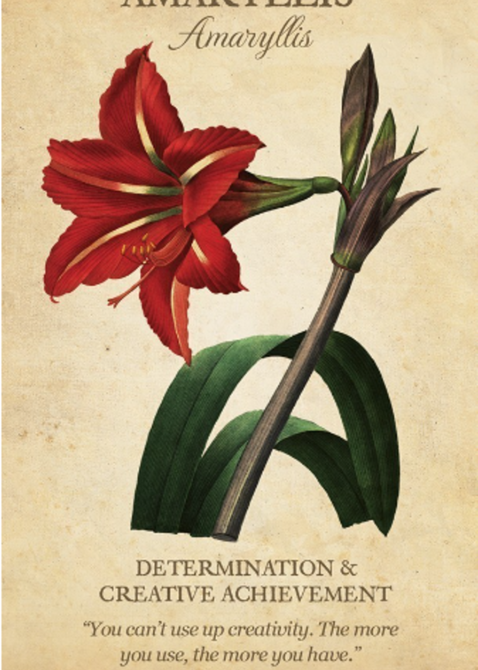 Botanical Inspiration Deck, 44 Card Deck, Guide Book, & Fold-out Guide