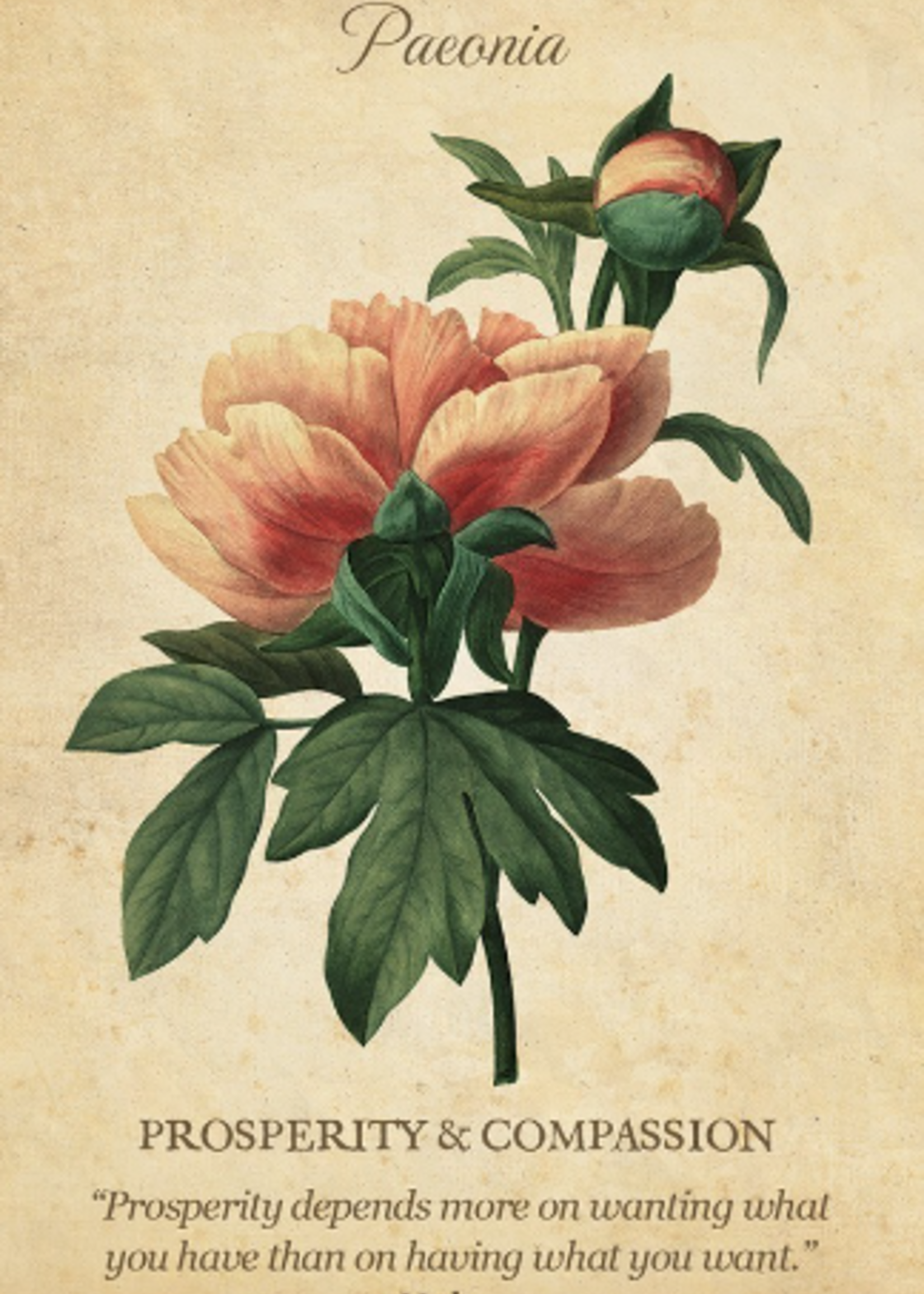 Botanical Inspiration Deck, 44 Card Deck, Guide Book, & Fold-out Guide