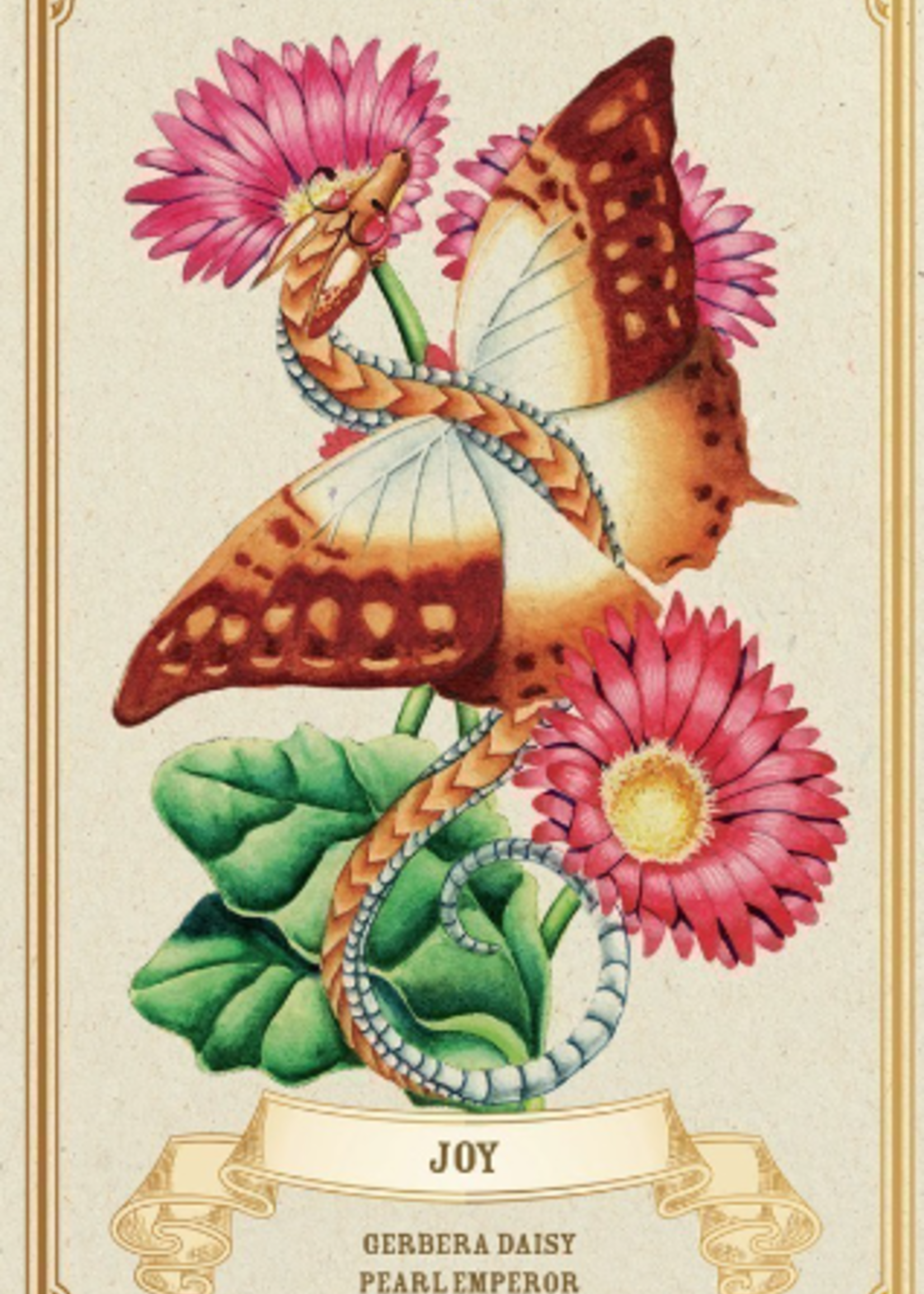 Enchanted Blossoms Oracle