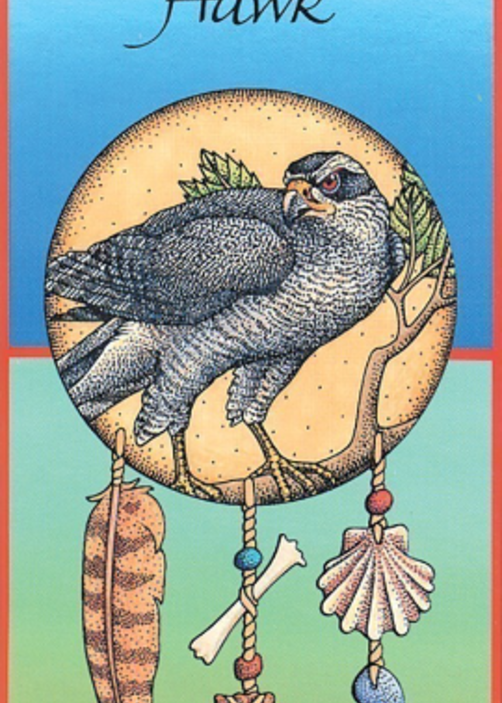 Medicine Cards Deck & Book Set