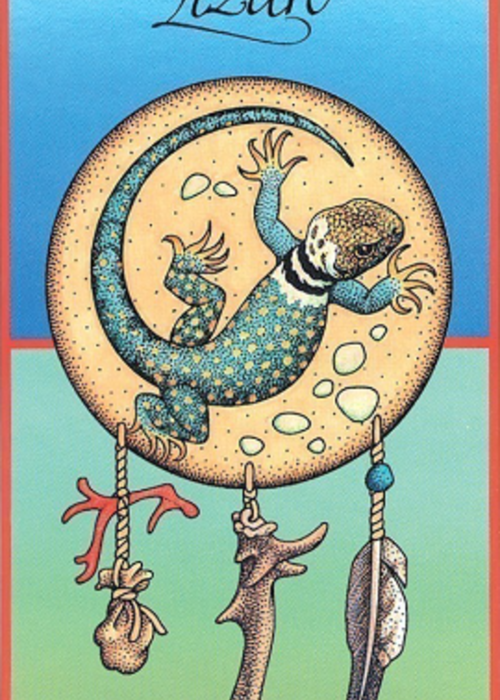 Medicine Cards Deck & Book Set