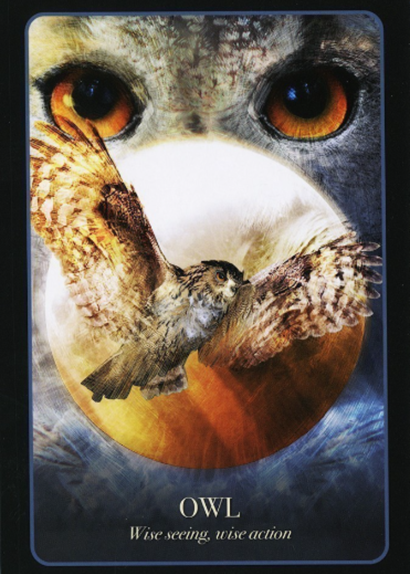 The Halloween Oracle 36 Card Deck & Book