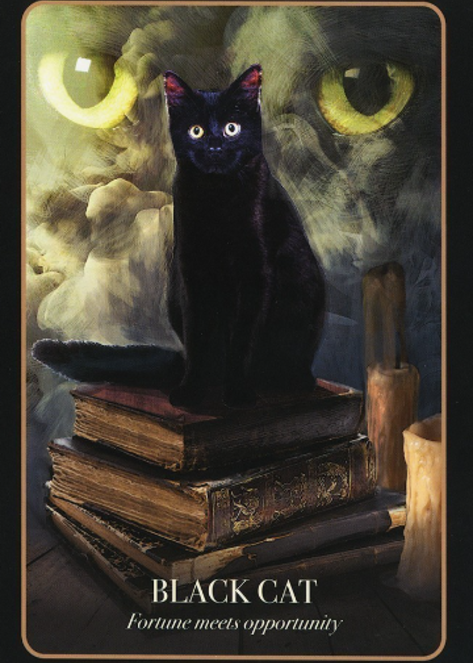 The Halloween Oracle 36 Card Deck & Book