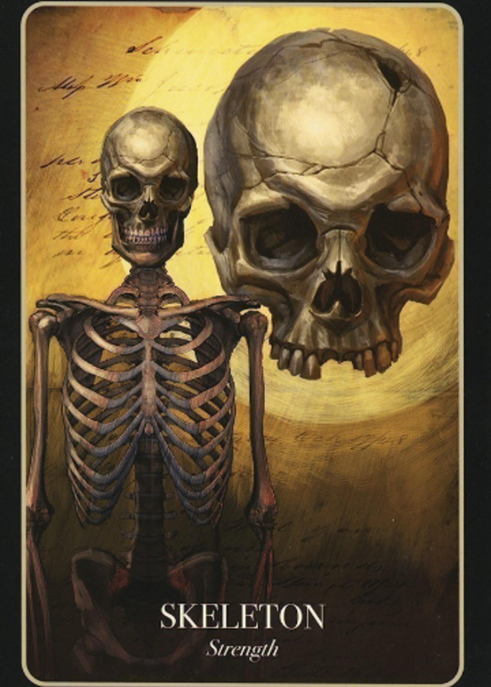 The Halloween Oracle 36 Card Deck & Book