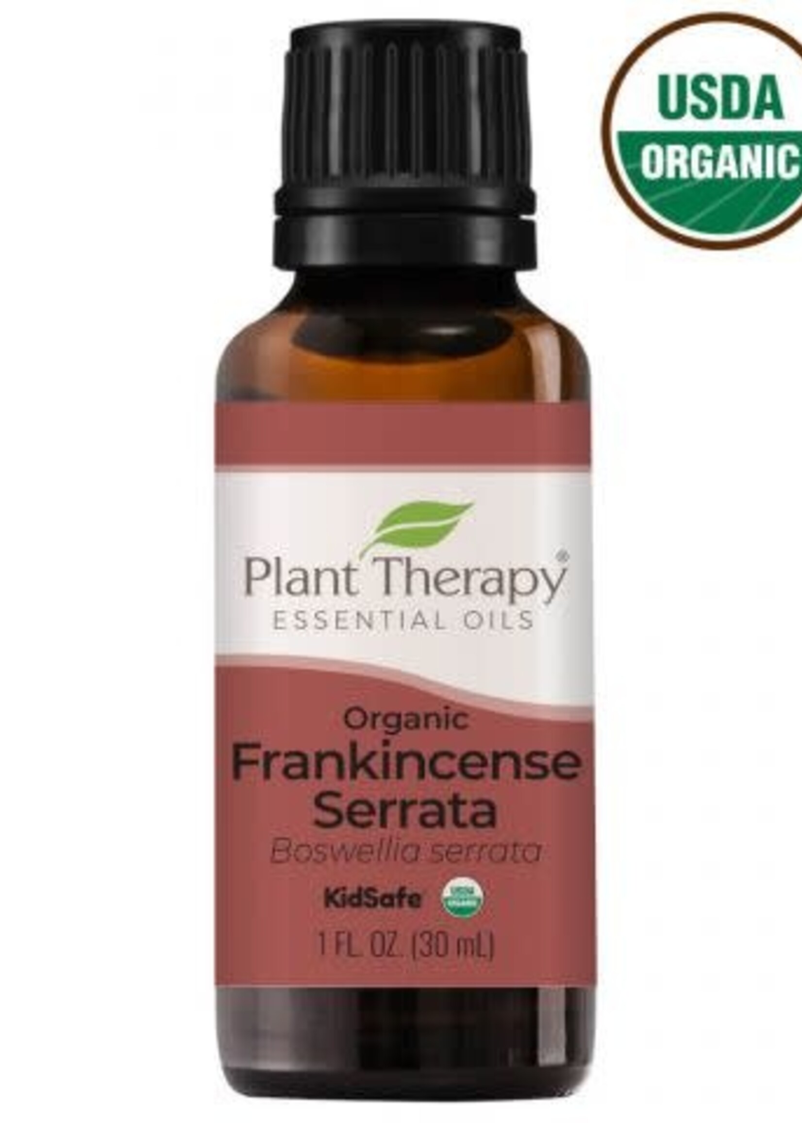 Plant Therapy Frankincense Serrata Organic Essential Oil