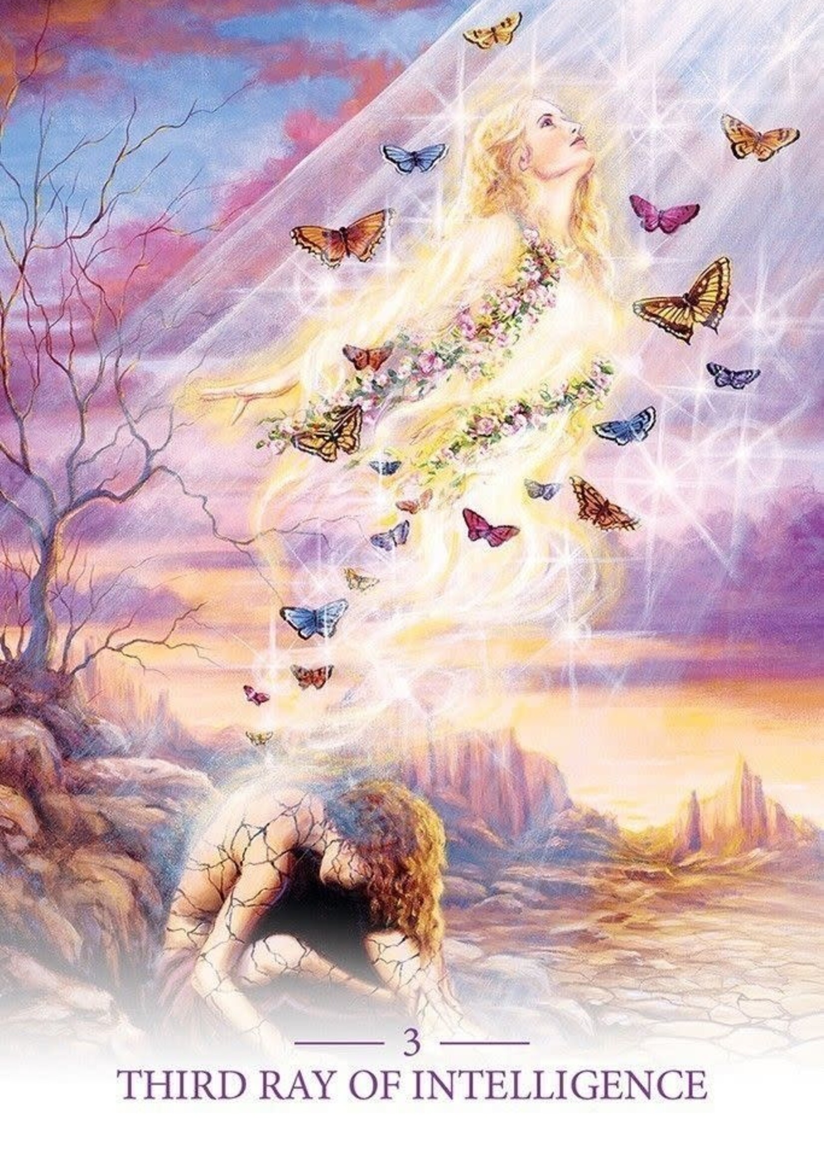 Light Workers Oracle 44 Card Deck & Book