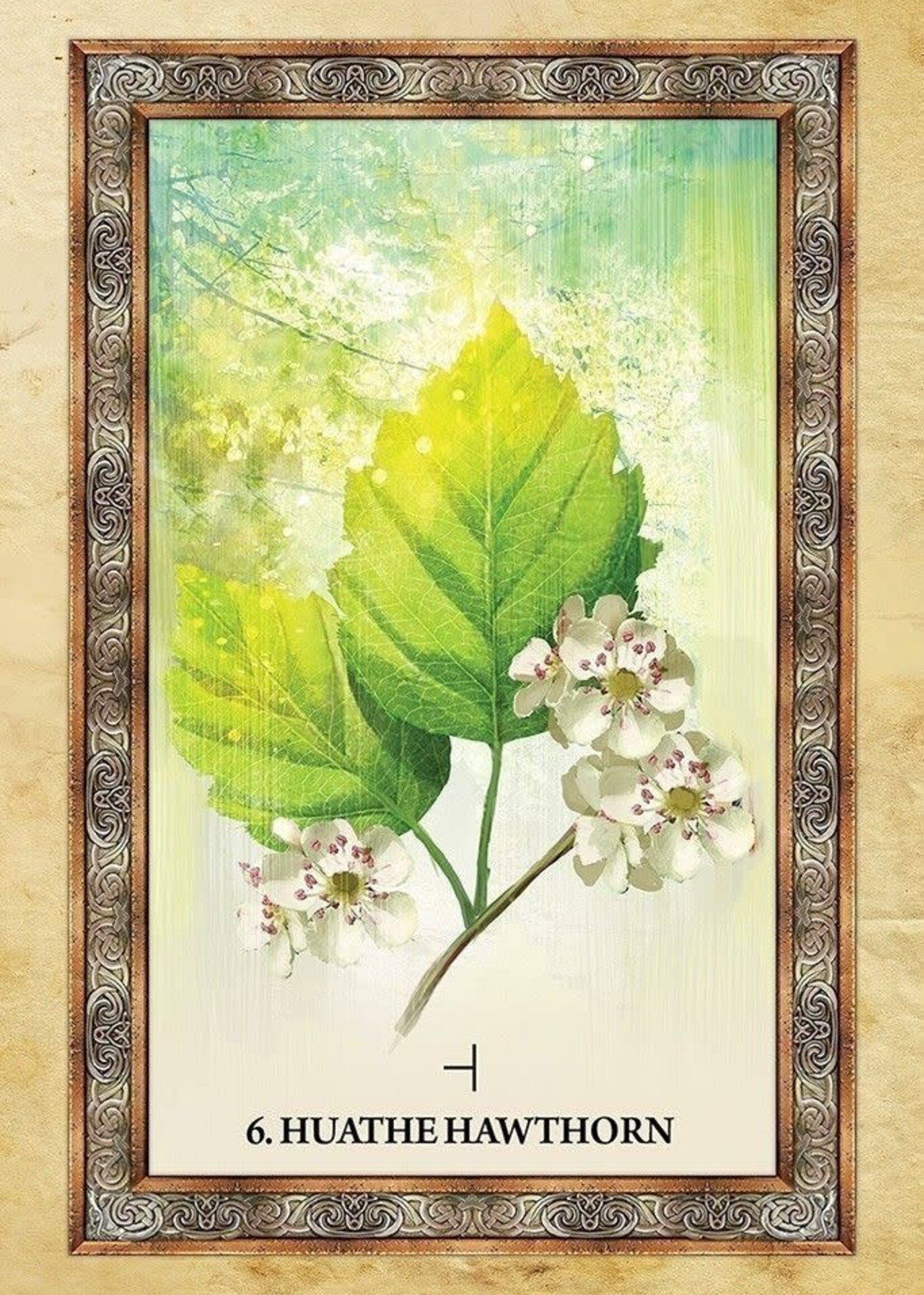 Celtic Tree Oracle