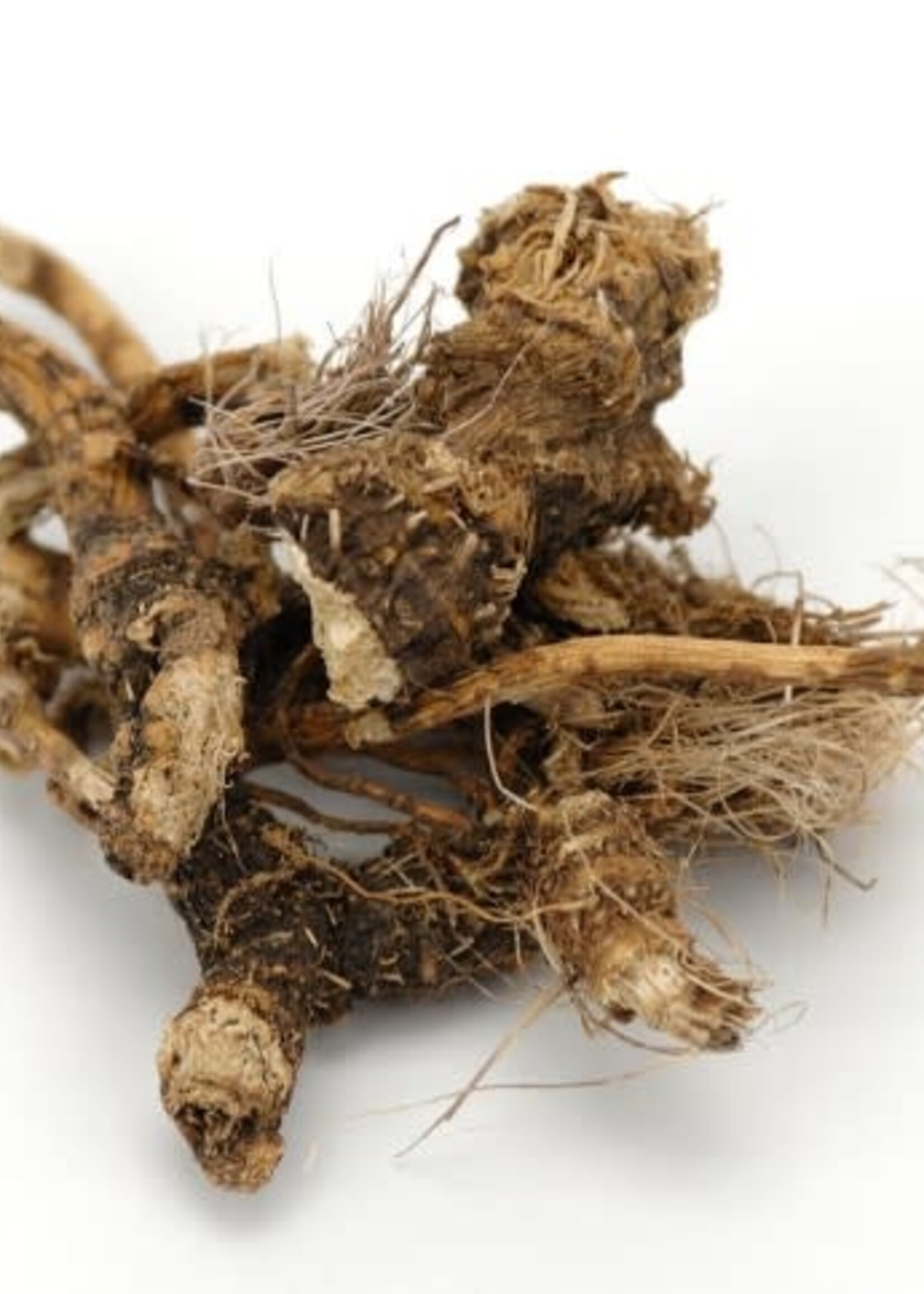 The Energy Within Osha Root Whole Wildcrafted (1/2 oz) Bag