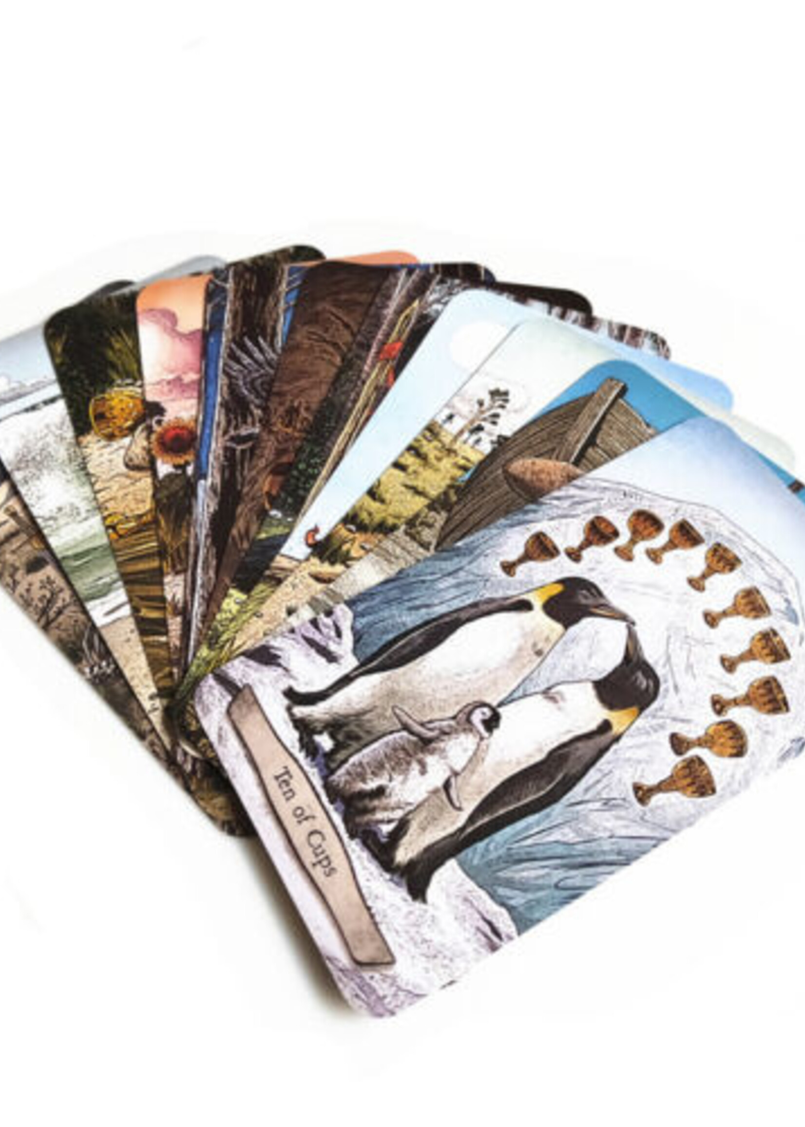 Animal Totem Tarot