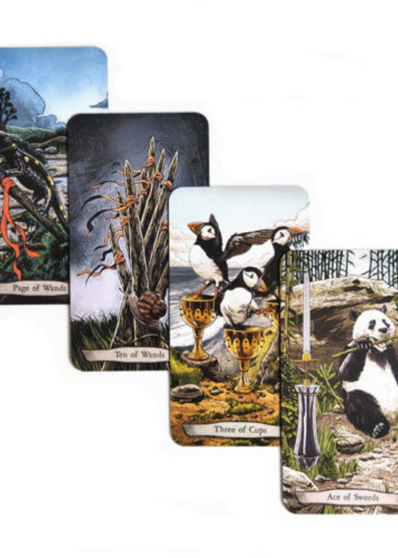 Animal Totem Tarot