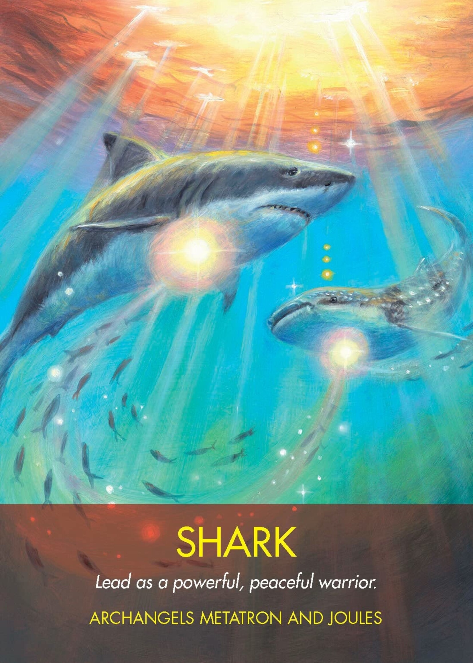 Archangel Animal Oracle 44 Card & Book
