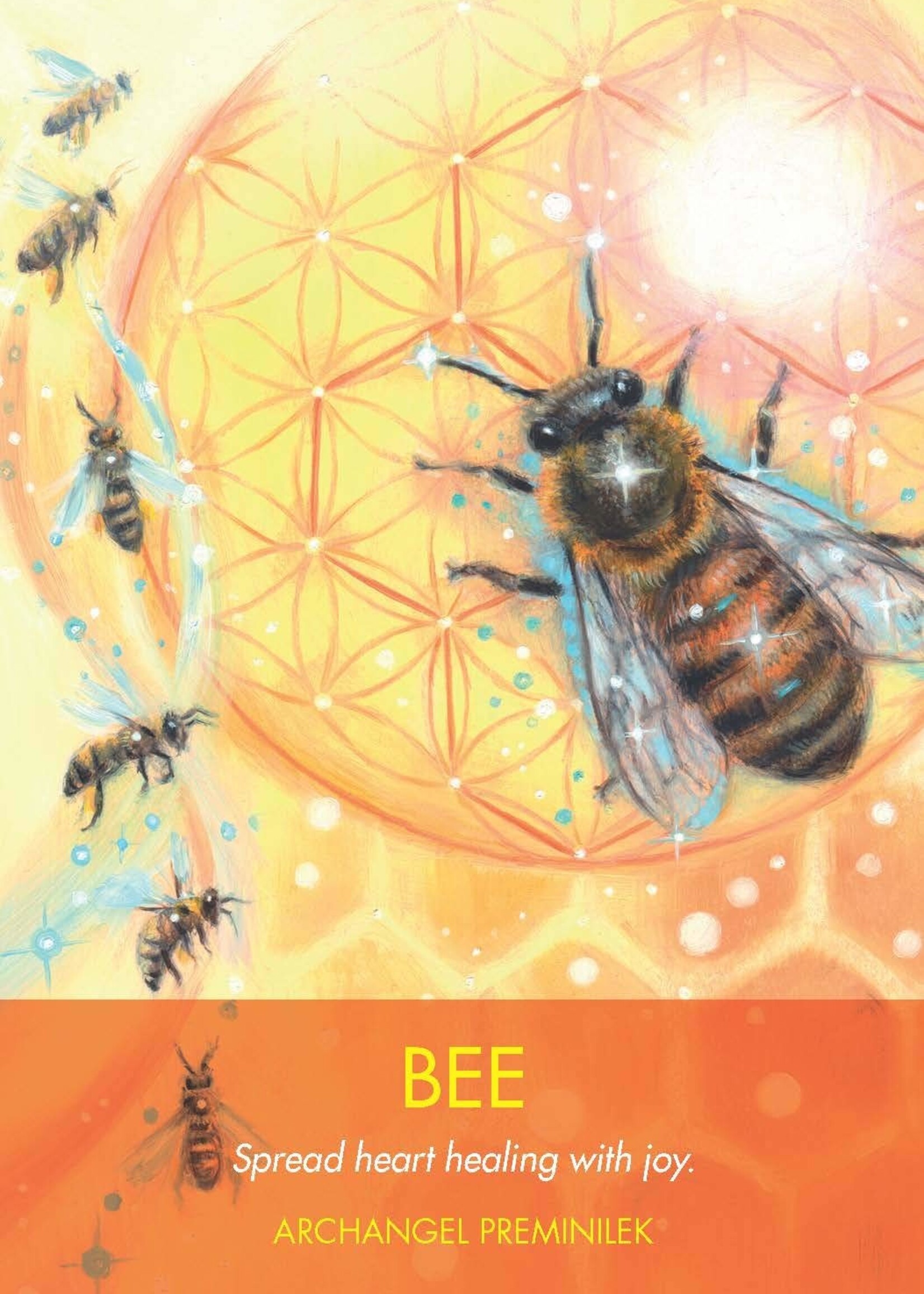 Archangel Animal Oracle 44 Card & Book