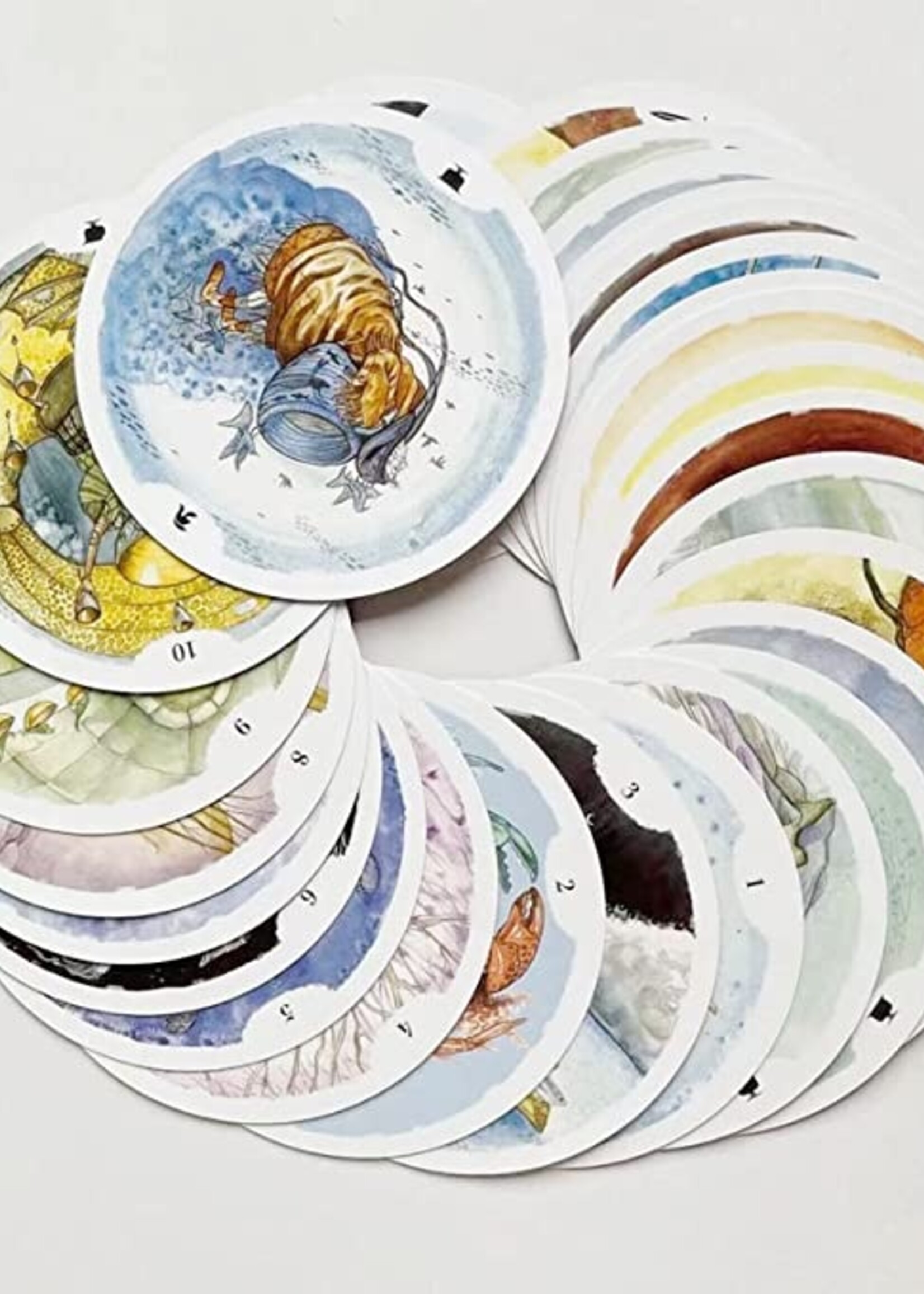 Circle Of Life Tarot