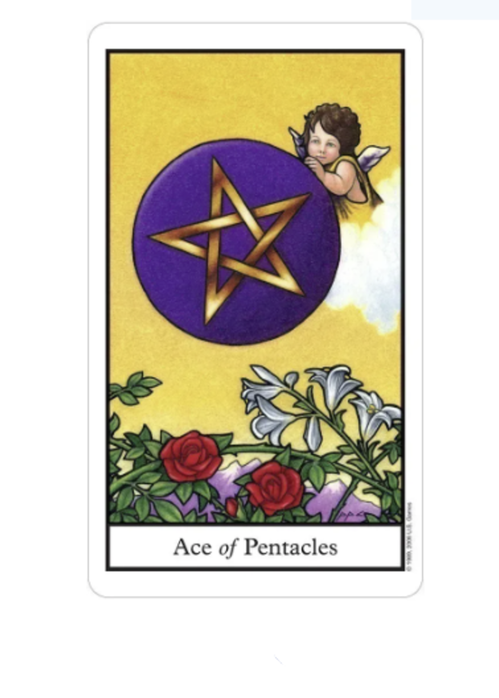 Connolly Tarot 78 Card Deck & Book