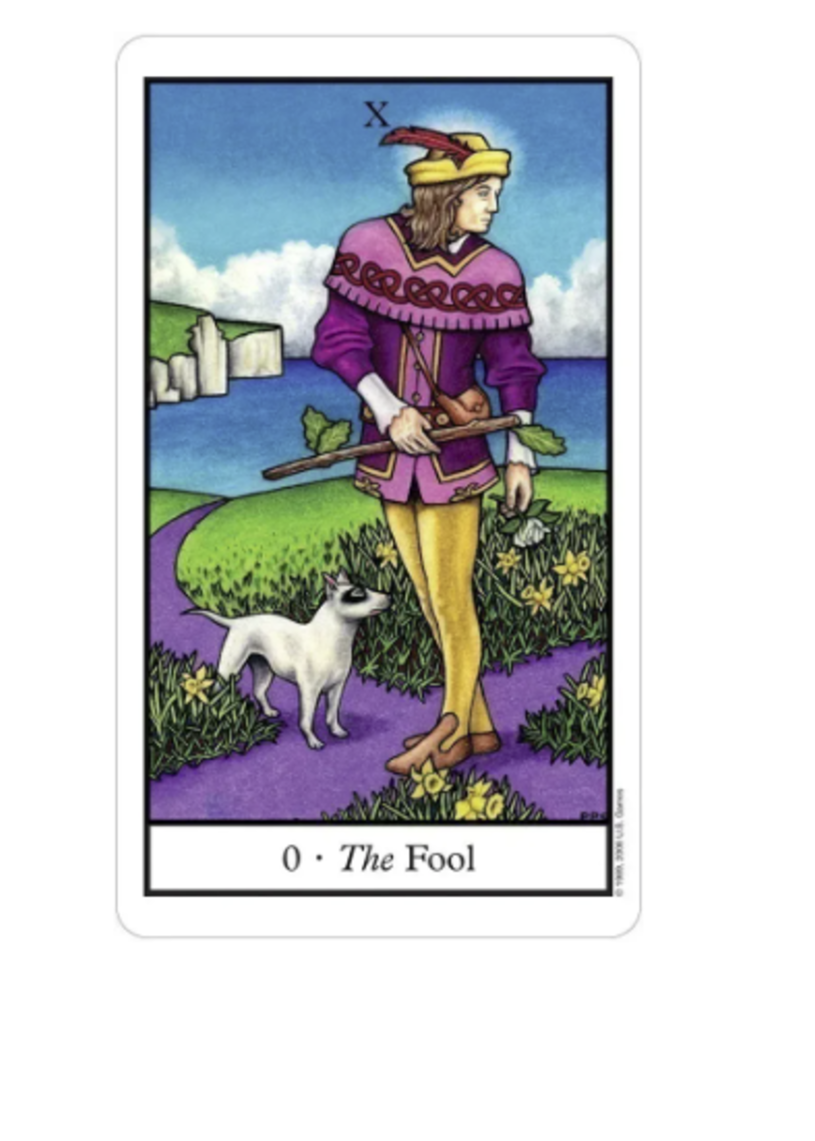 Connolly Tarot 78 Card Deck & Book