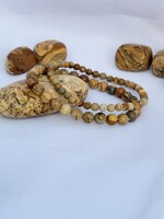 Picture Jasper Bracelet