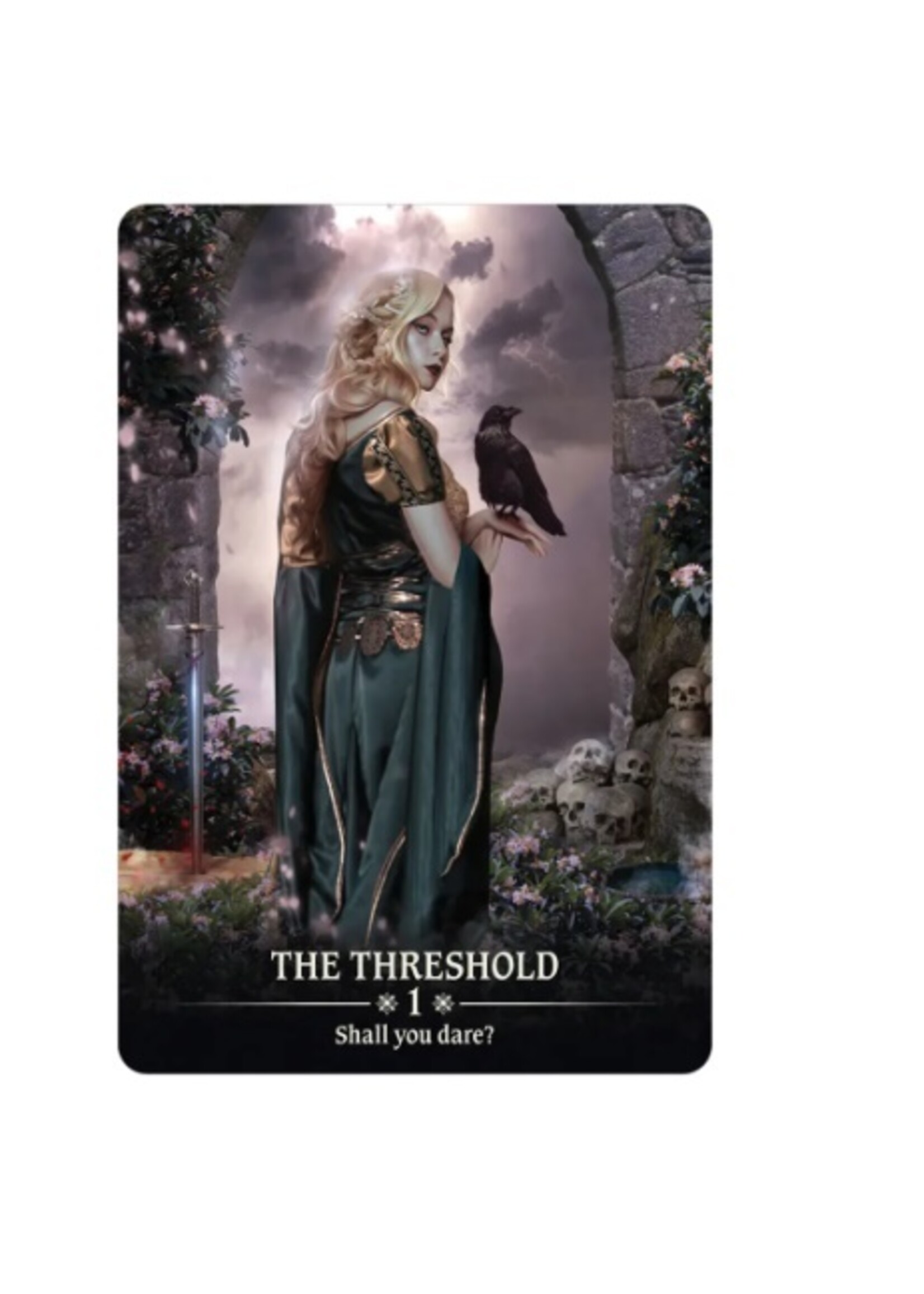 Dark Light Oracle 40-Card Deck & Book