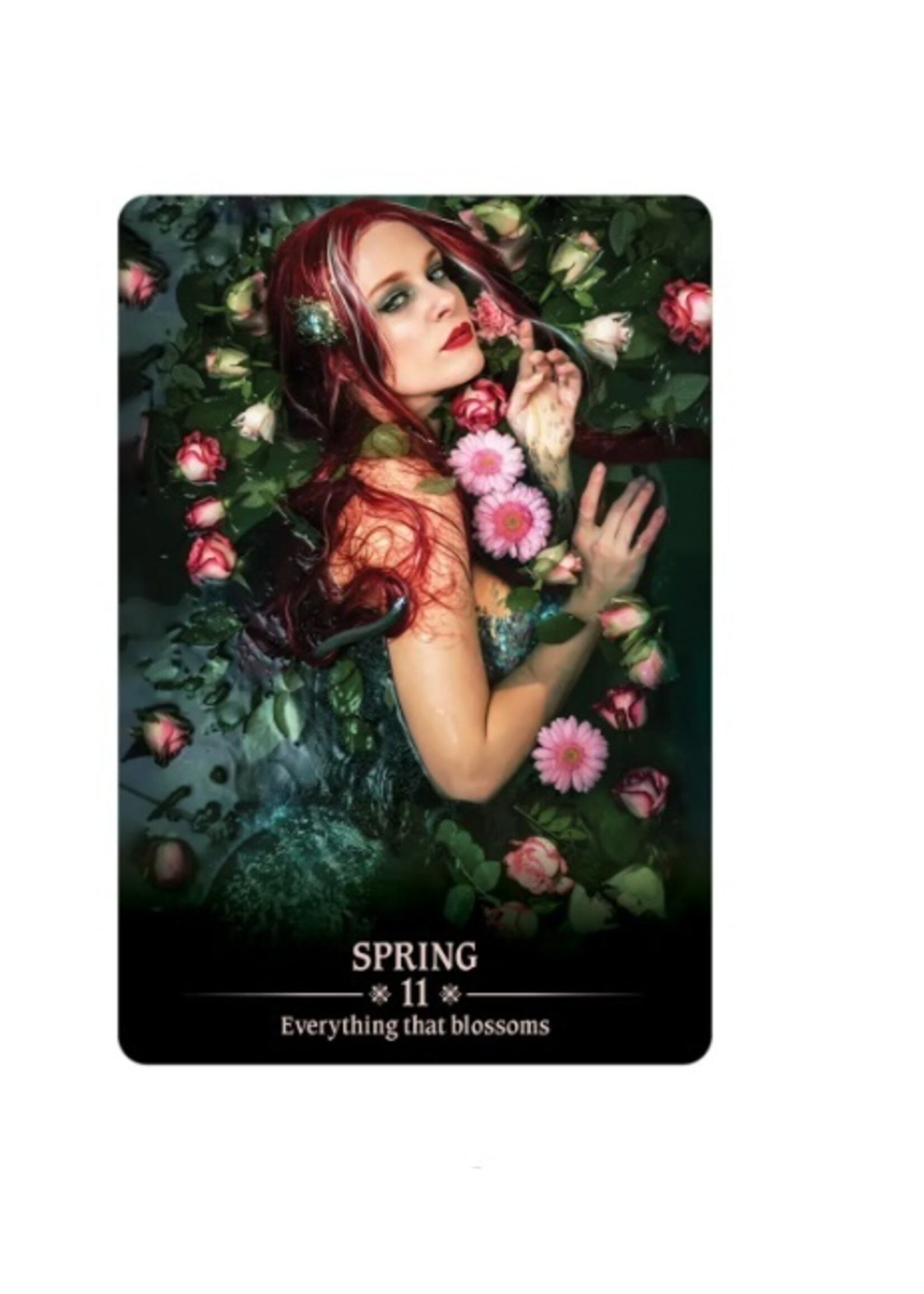 Dark Light Oracle 40-Card Deck & Book