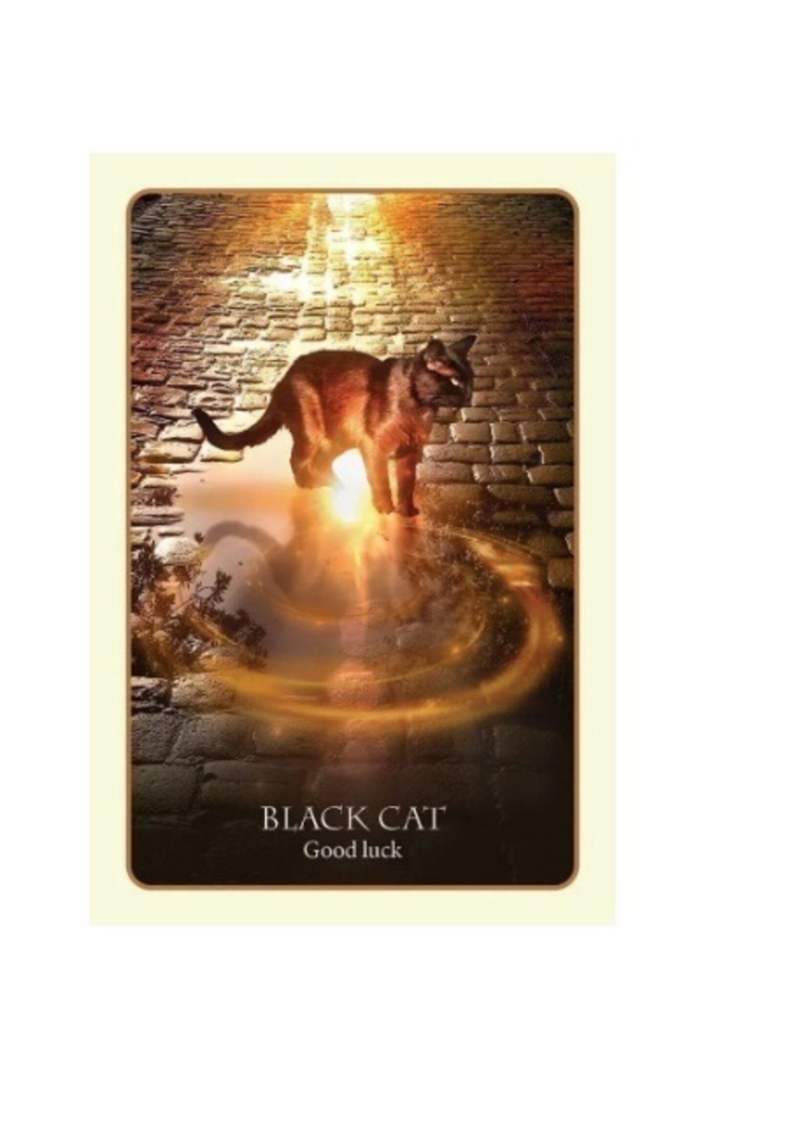 Divination Of The Ancients 45-Card Deck & Book