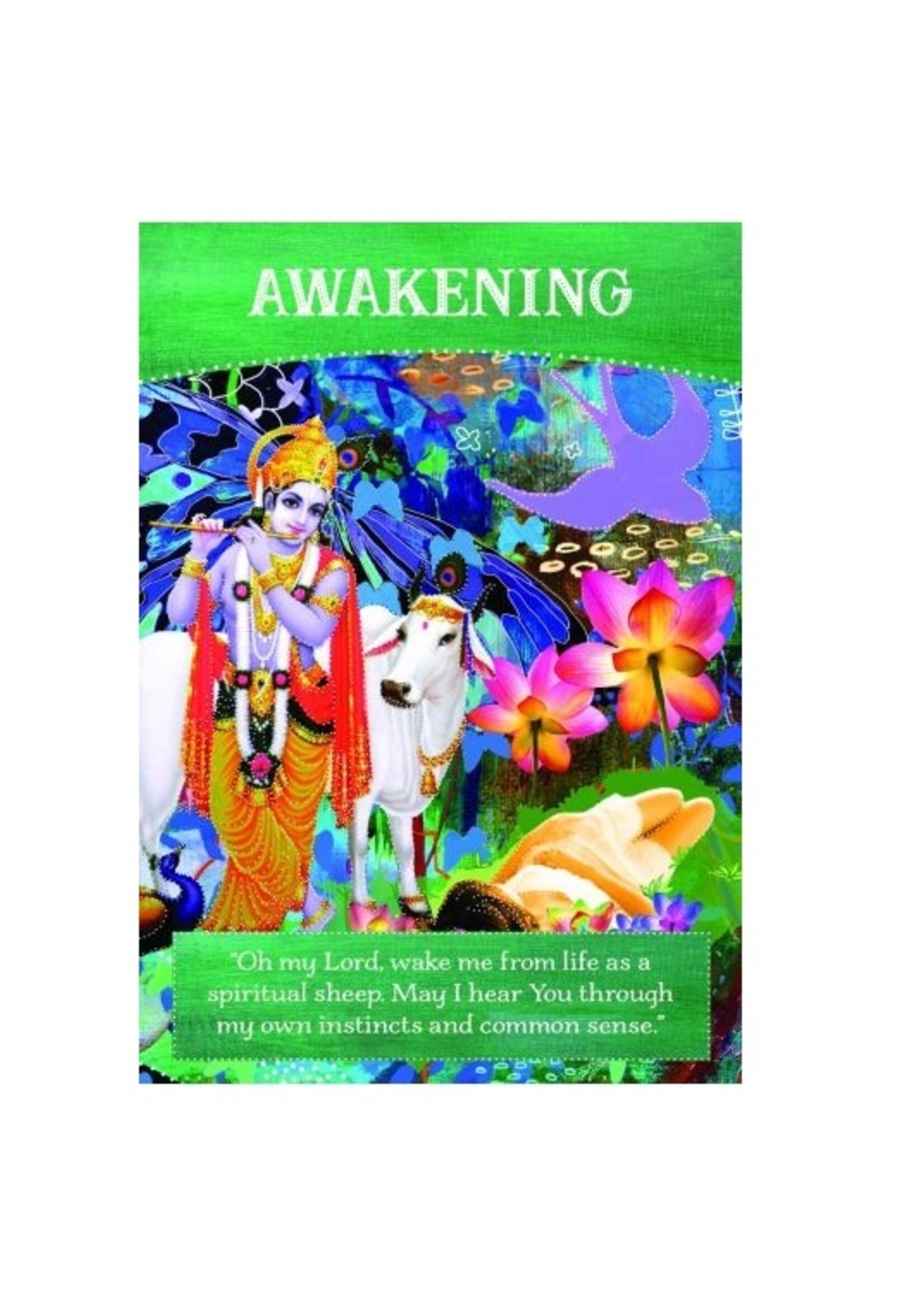Divine Abundance Oracle Cards 52-Card Deck & E- Book