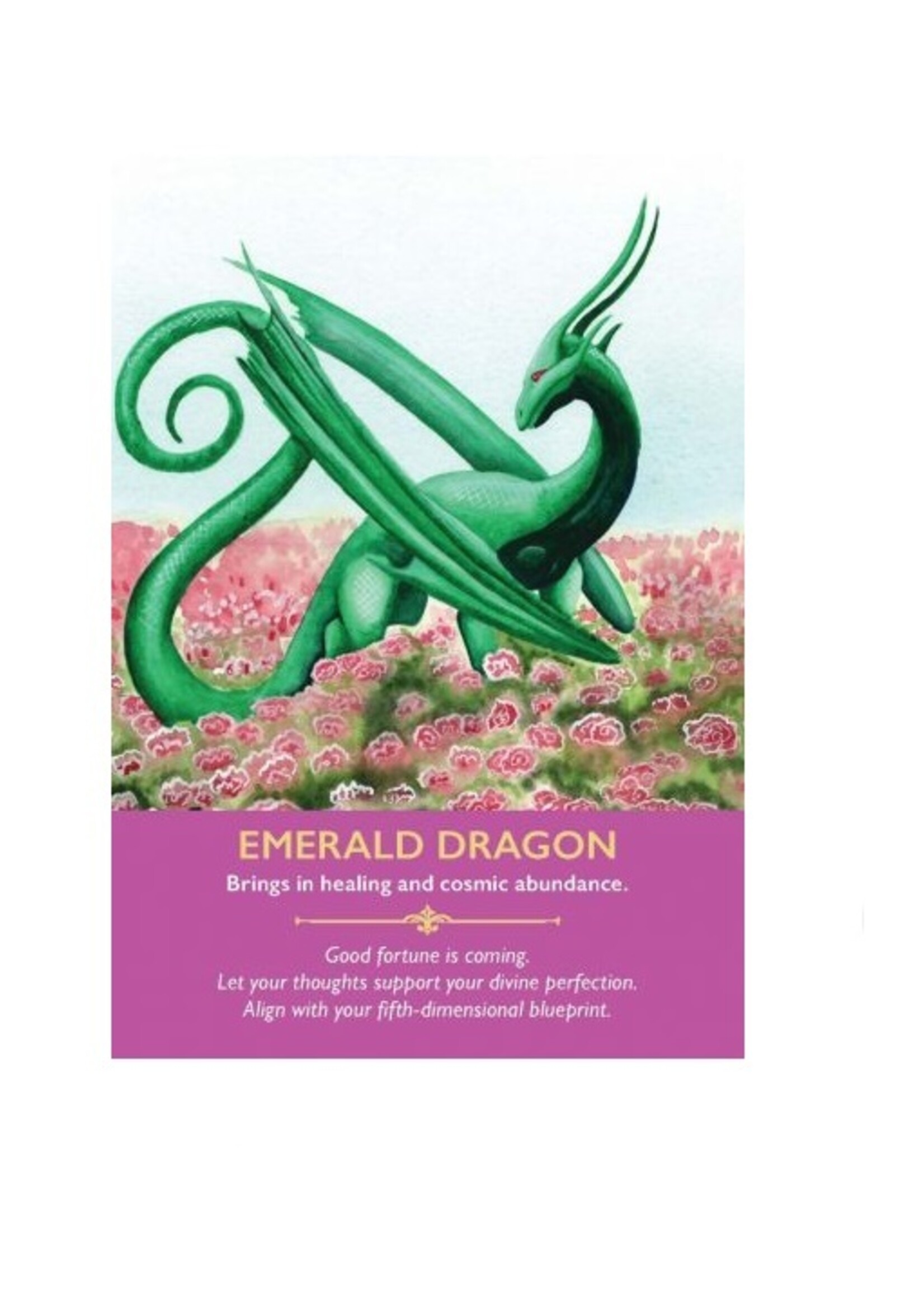 Dragon Oracle Cards Deck & Book