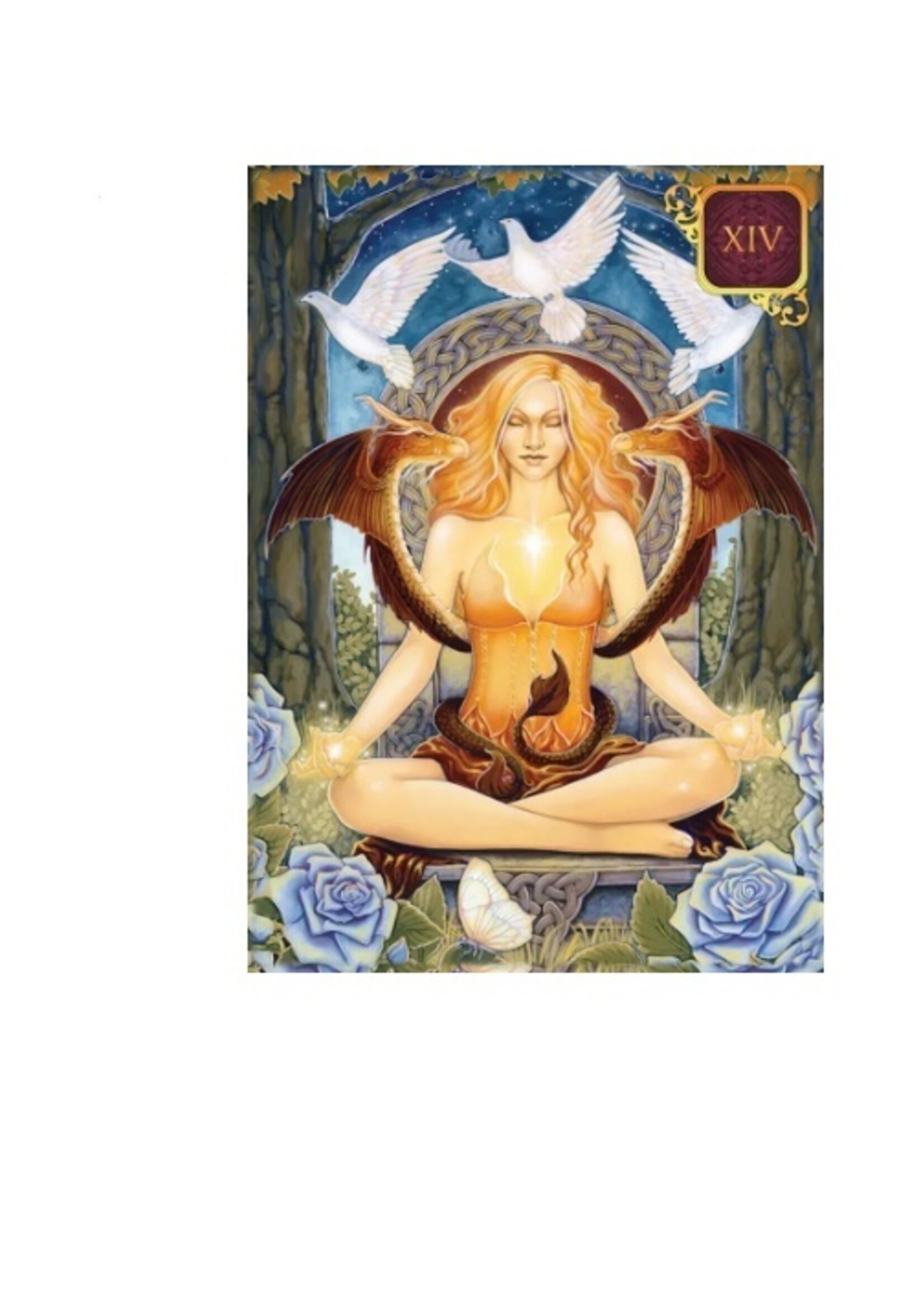 Dreams Of Gaia Tarot Pocket Edition 81-Card Deck & Book