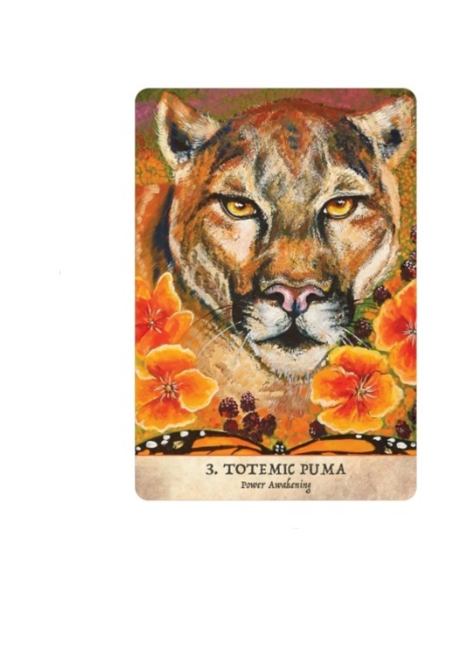 Earth Warriors Oracle 44-Card Deck & Book