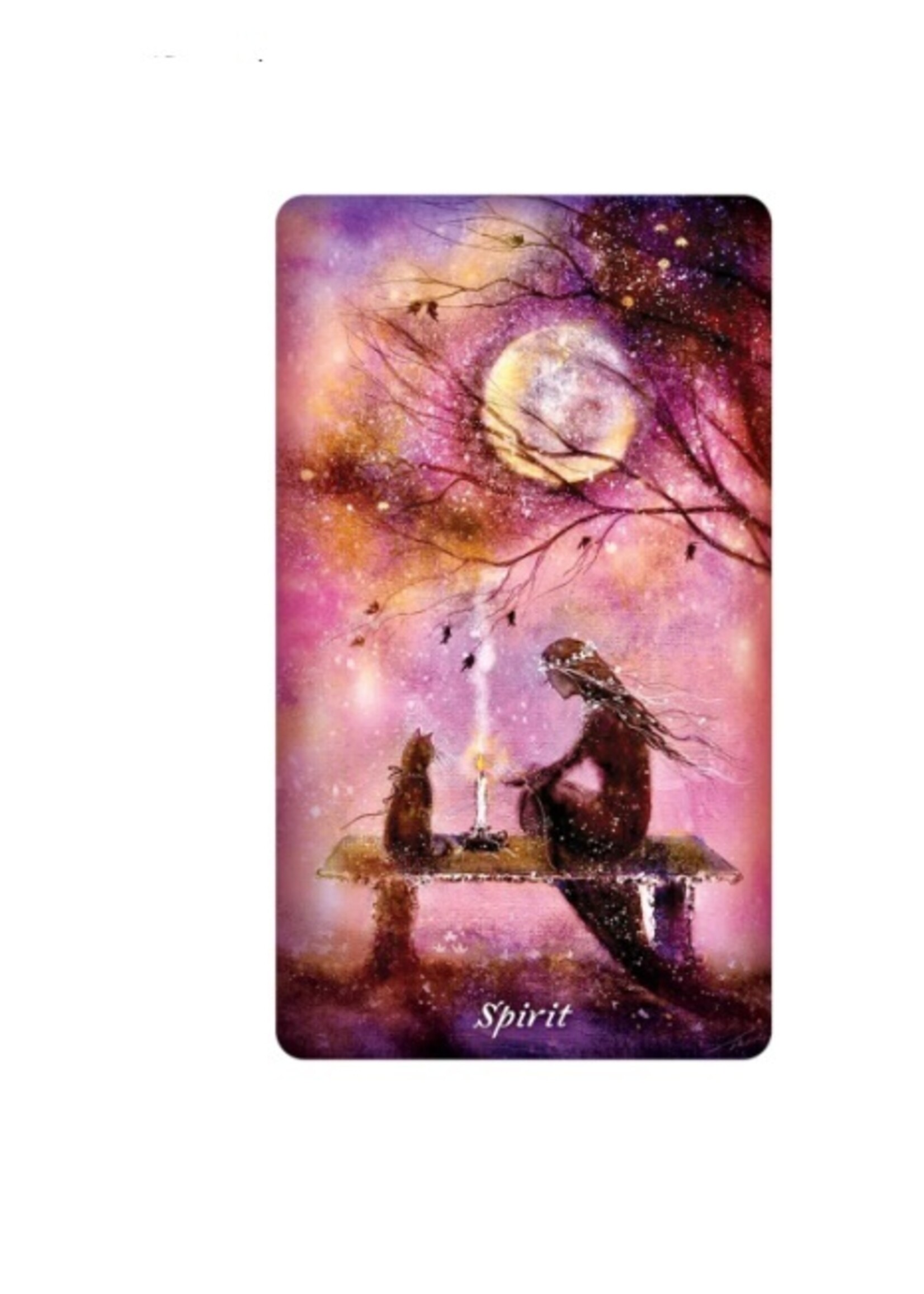 Earthly Souls & Spirits Moon Oracle 55-Card Deck & Book