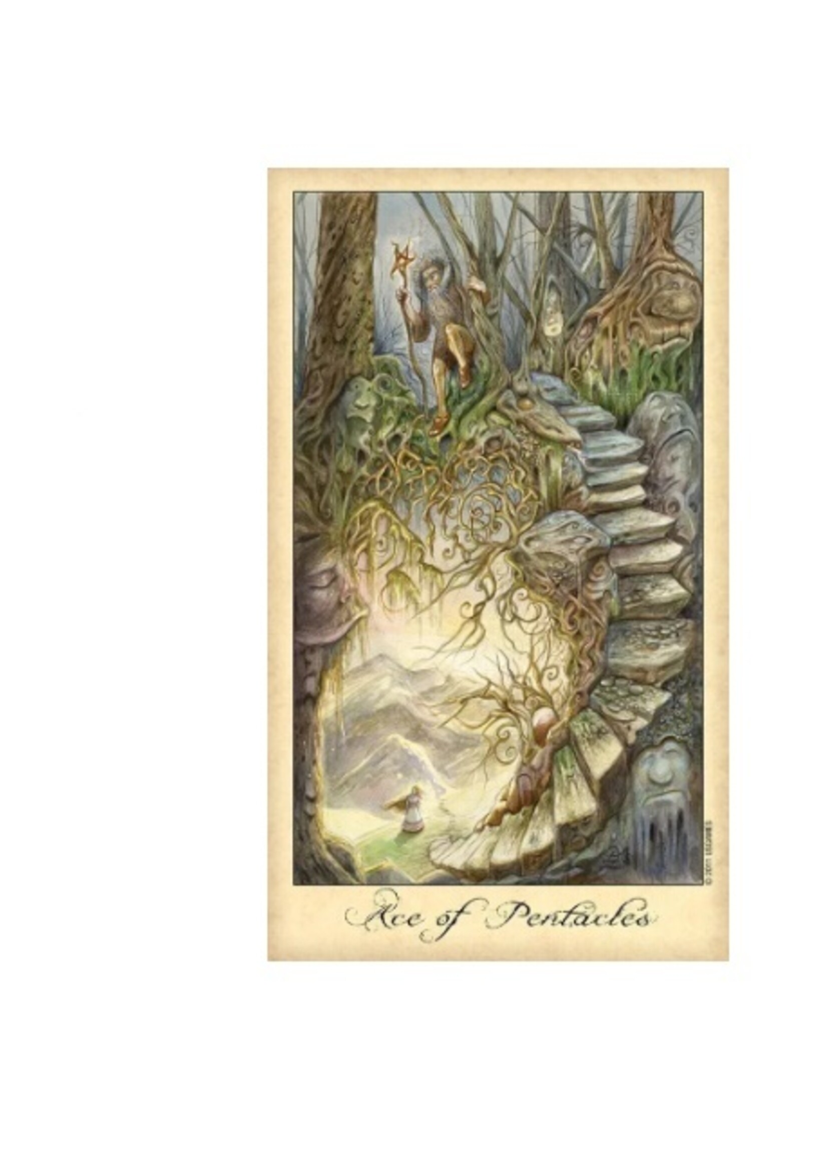 Ghosts & Spirits Tarot 78-Card Deck & Book