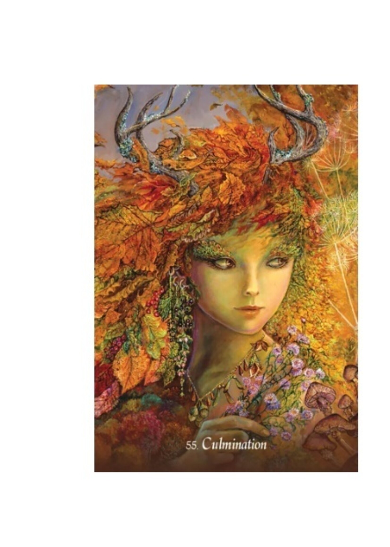 Gratitude Oracle 55-Card Deck & Book