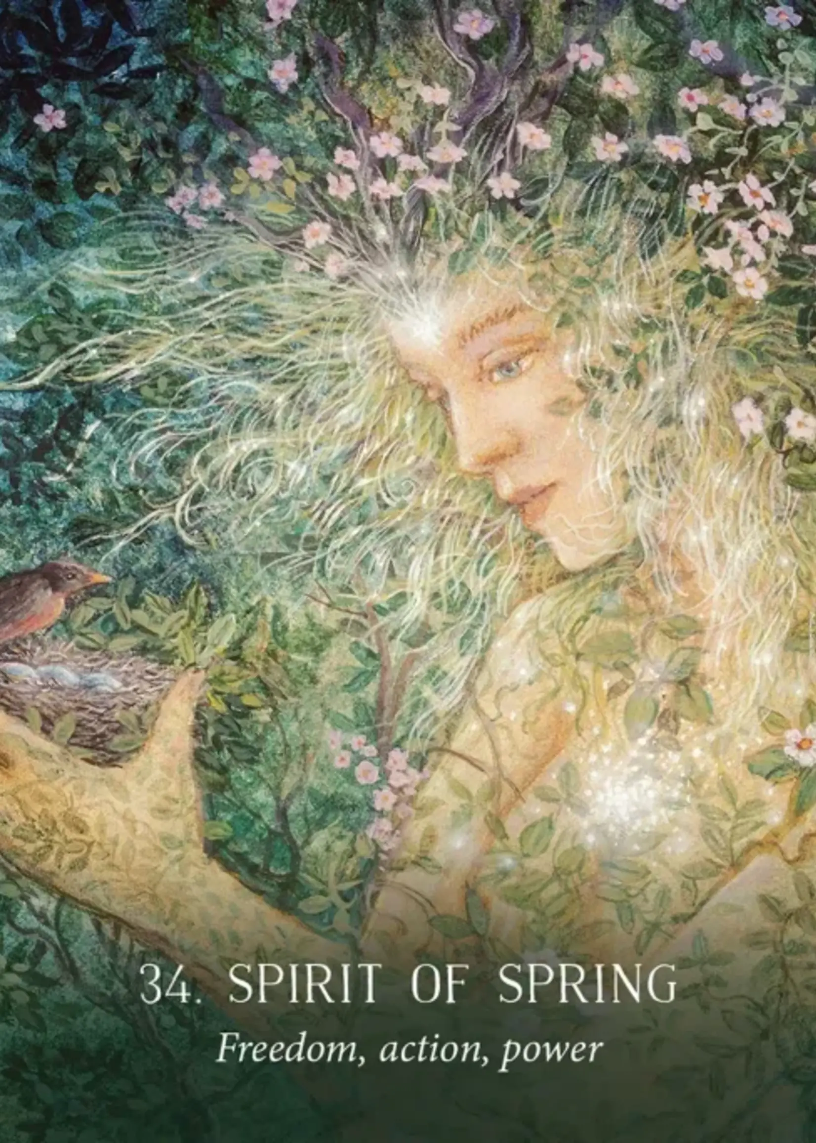 Oracle of The Hidden Worlds 44-Card Deck & Book