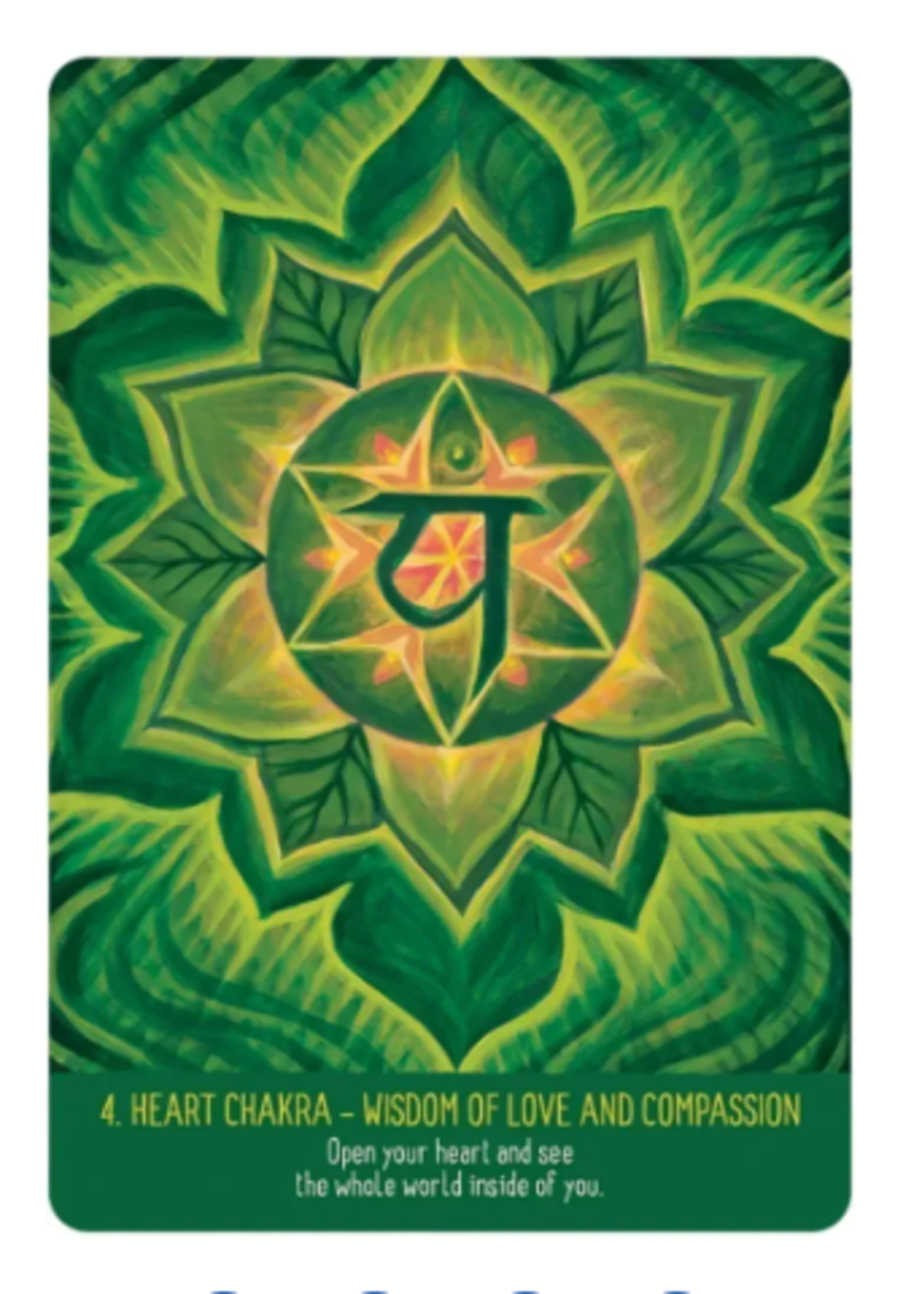 Infinite Wisdom of The Chakras