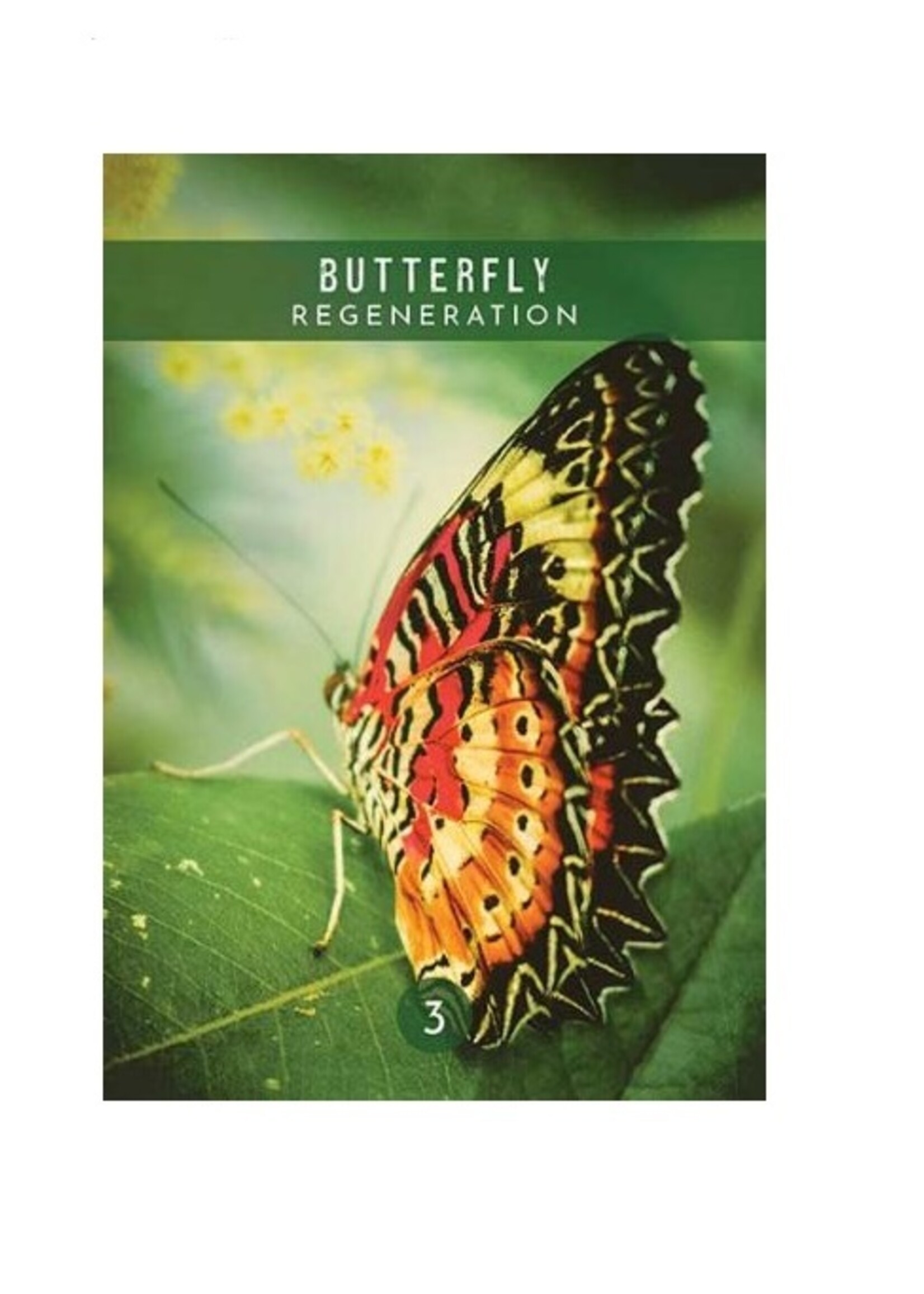 Messages from the Spirits of Nature Oracle 44-Card Deck & Book