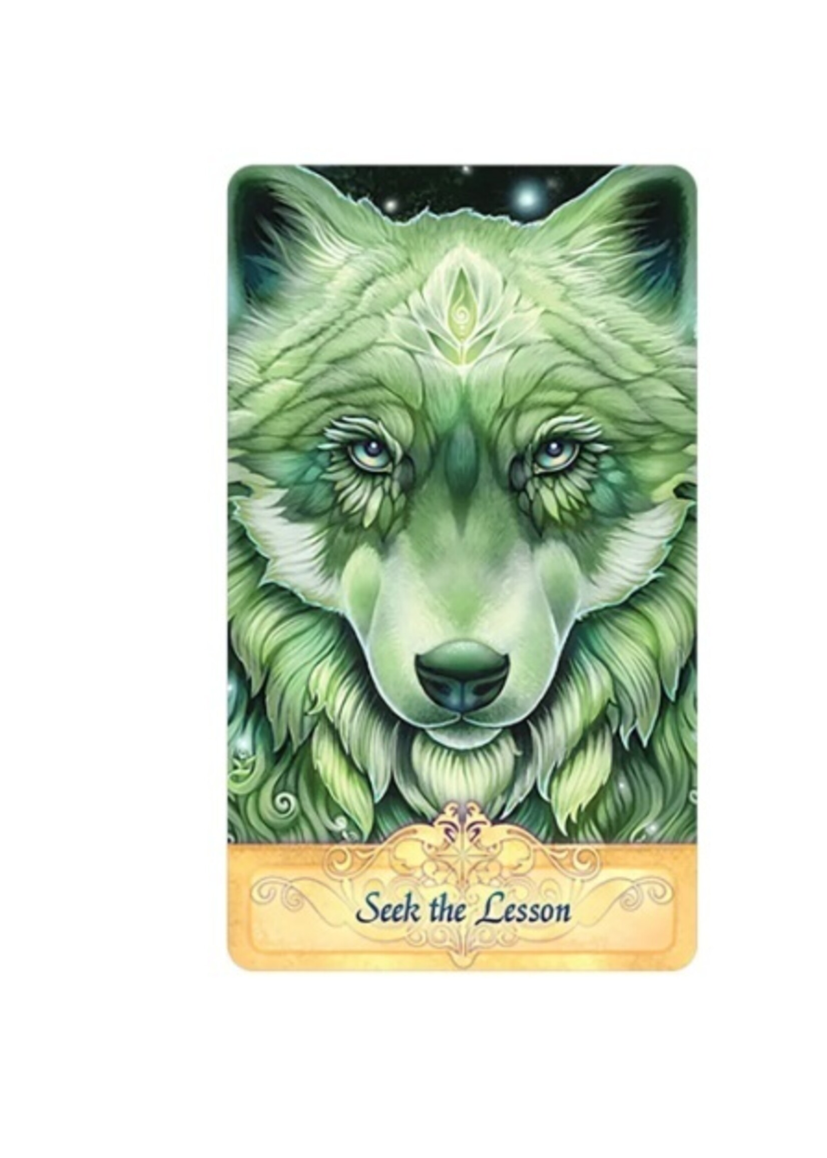 Messenger Oracle 55-Card Deck & Book