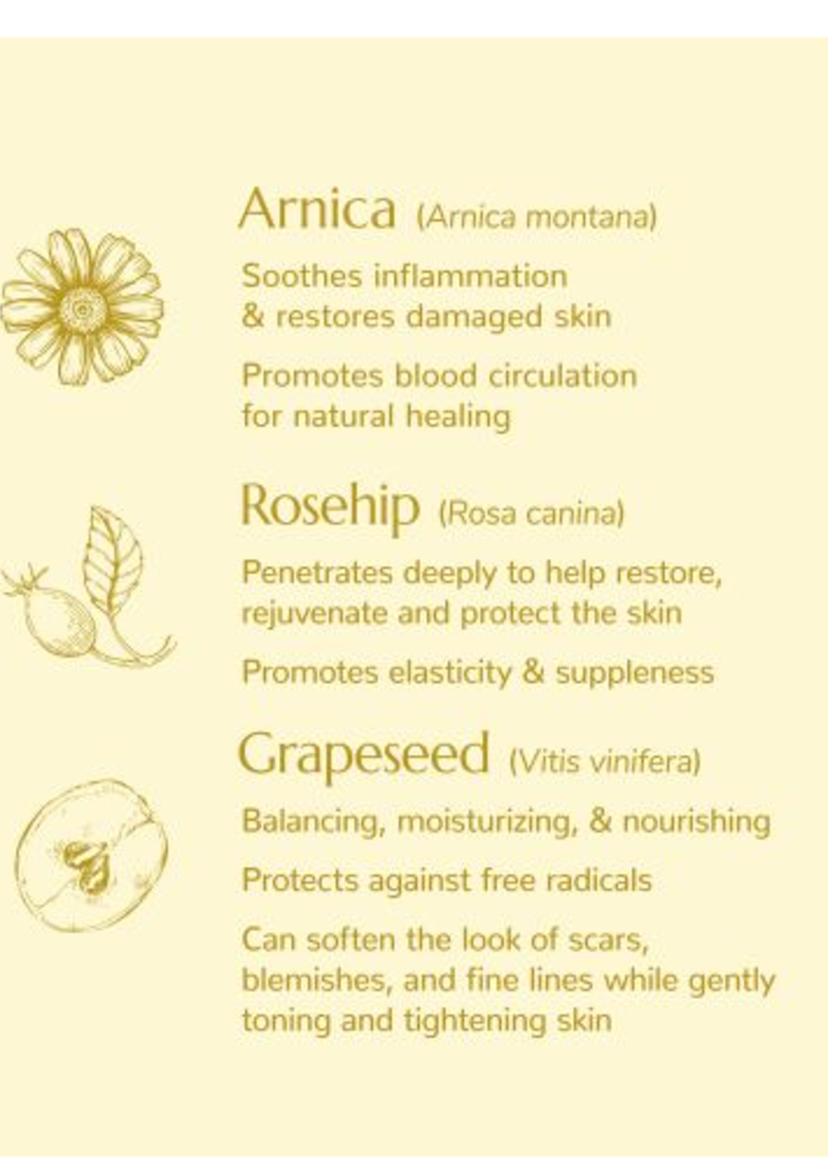 Plant Therapy Restorative Facial Oil 30ml