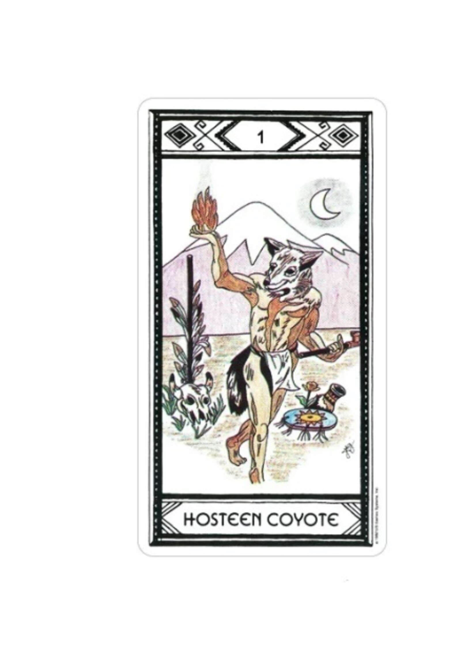 Native American Tarot 78-Card Deck & Book