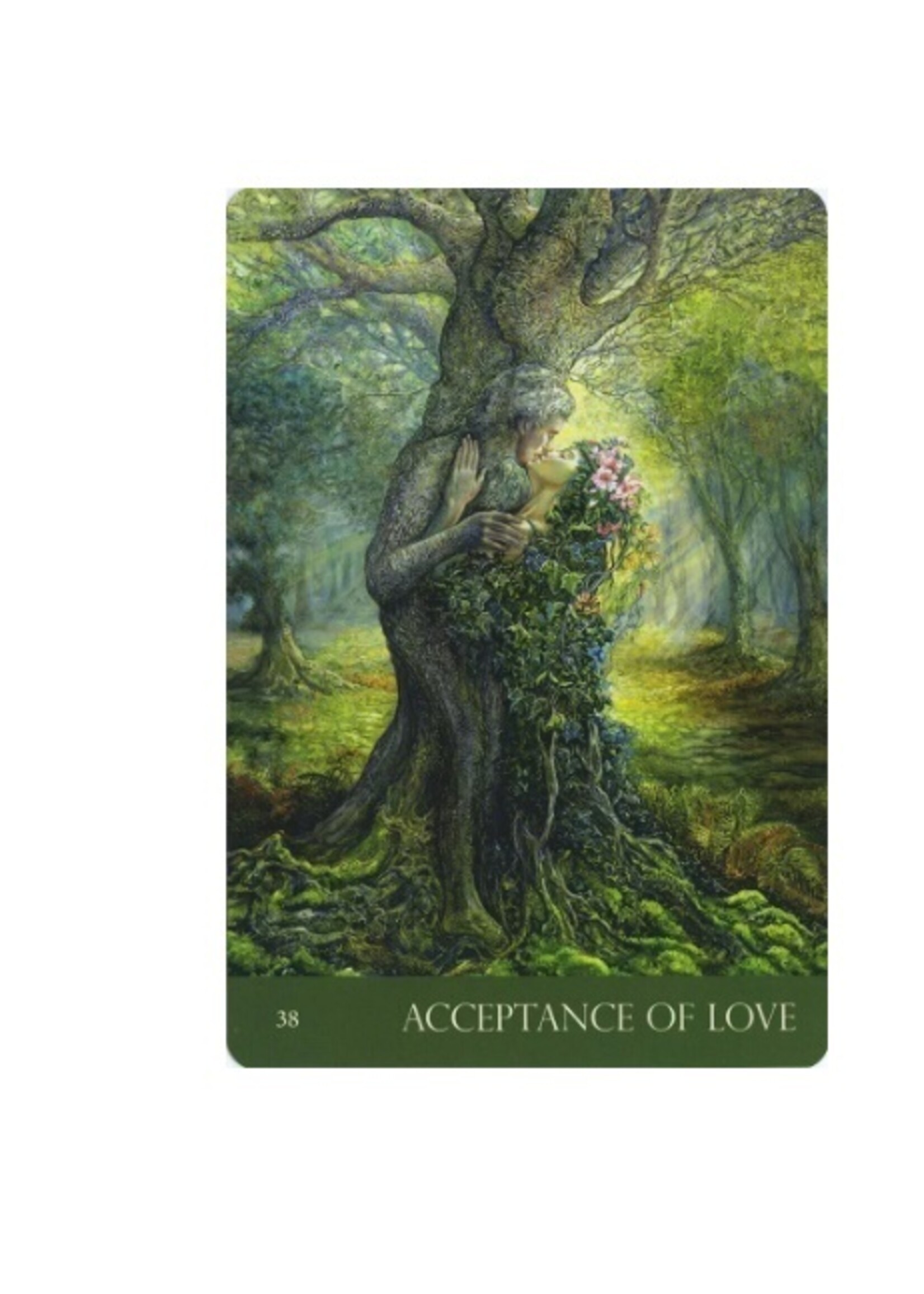 Nature's Whispers Oracle 50-Card Deck & Book